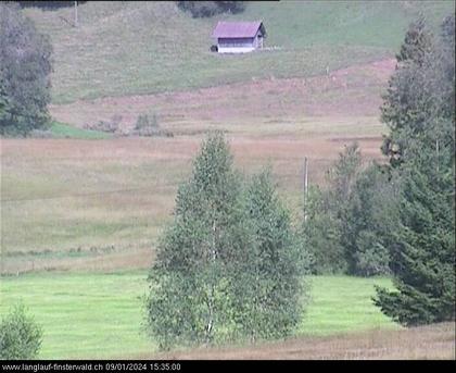 Finsterwald: bei Entlebuch