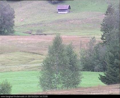 Finsterwald: bei Entlebuch