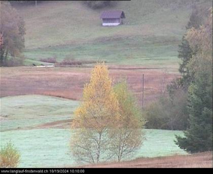 Finsterwald: bei Entlebuch