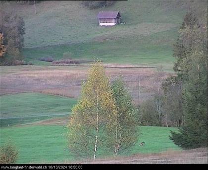 Finsterwald: bei Entlebuch