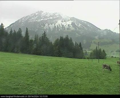 Finsterwald: bei Entlebuch