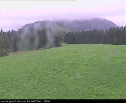 Finsterwald: bei Entlebuch