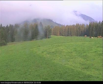 Finsterwald: bei Entlebuch