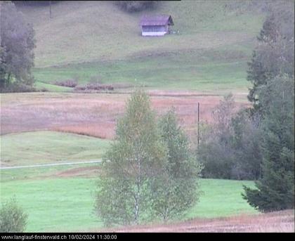 Finsterwald: bei Entlebuch