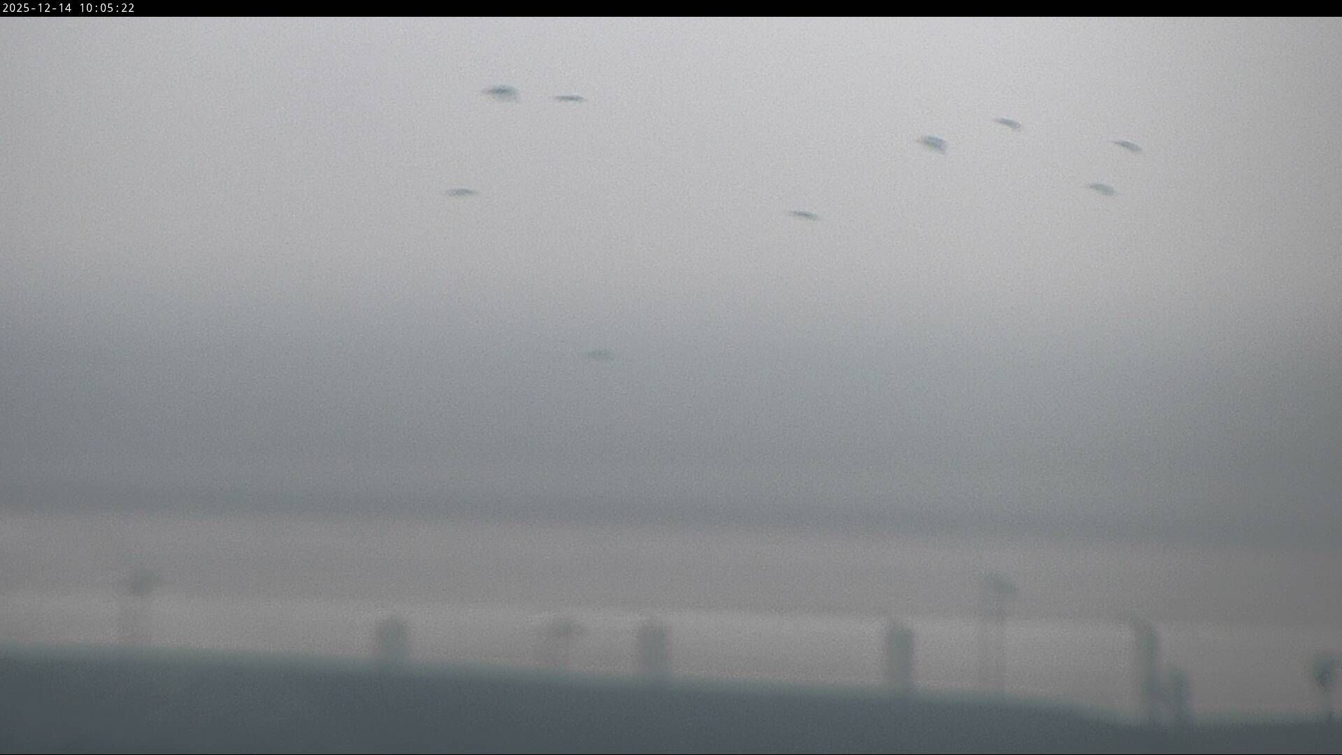 Windy Webcams Juist Haus Sameland