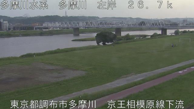 Chofu: Capturing Natures Beauty Webcam