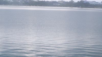 North Shore Daytime Webcam Image