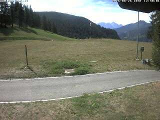 Traffic Cam Chamois