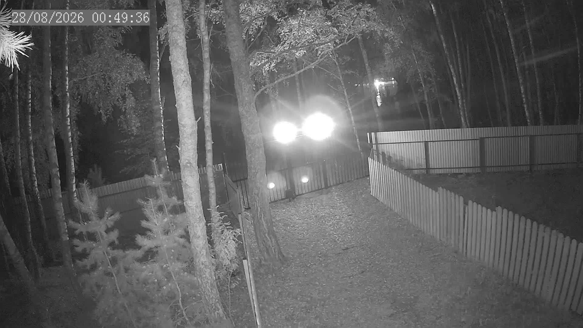 Traffic Cam Mozhaisk › South-East