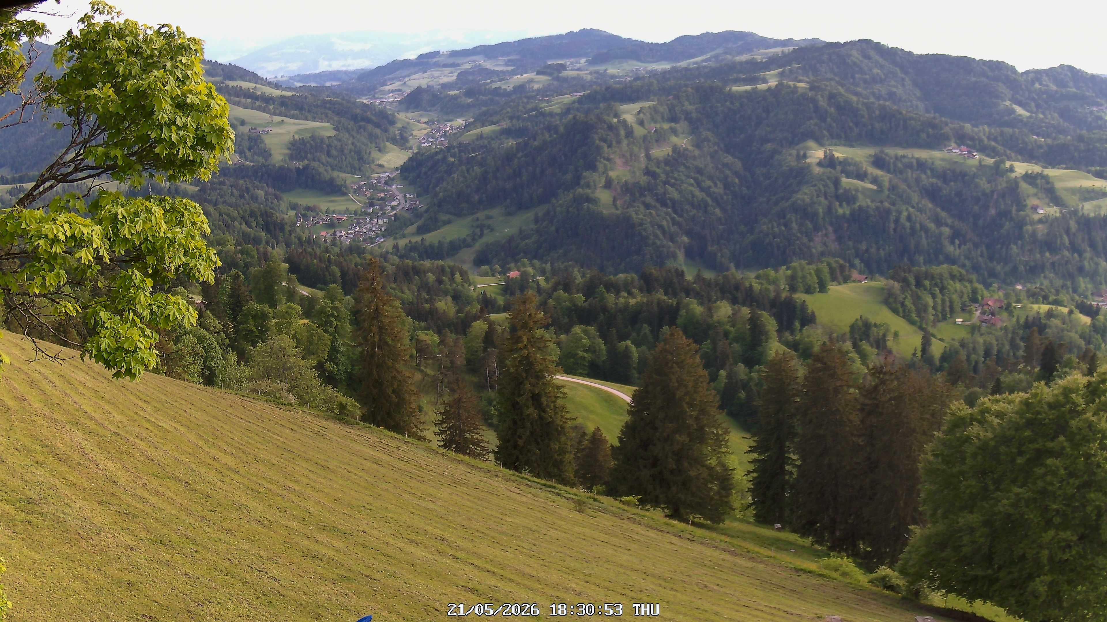 Fischenthal: Hörnli