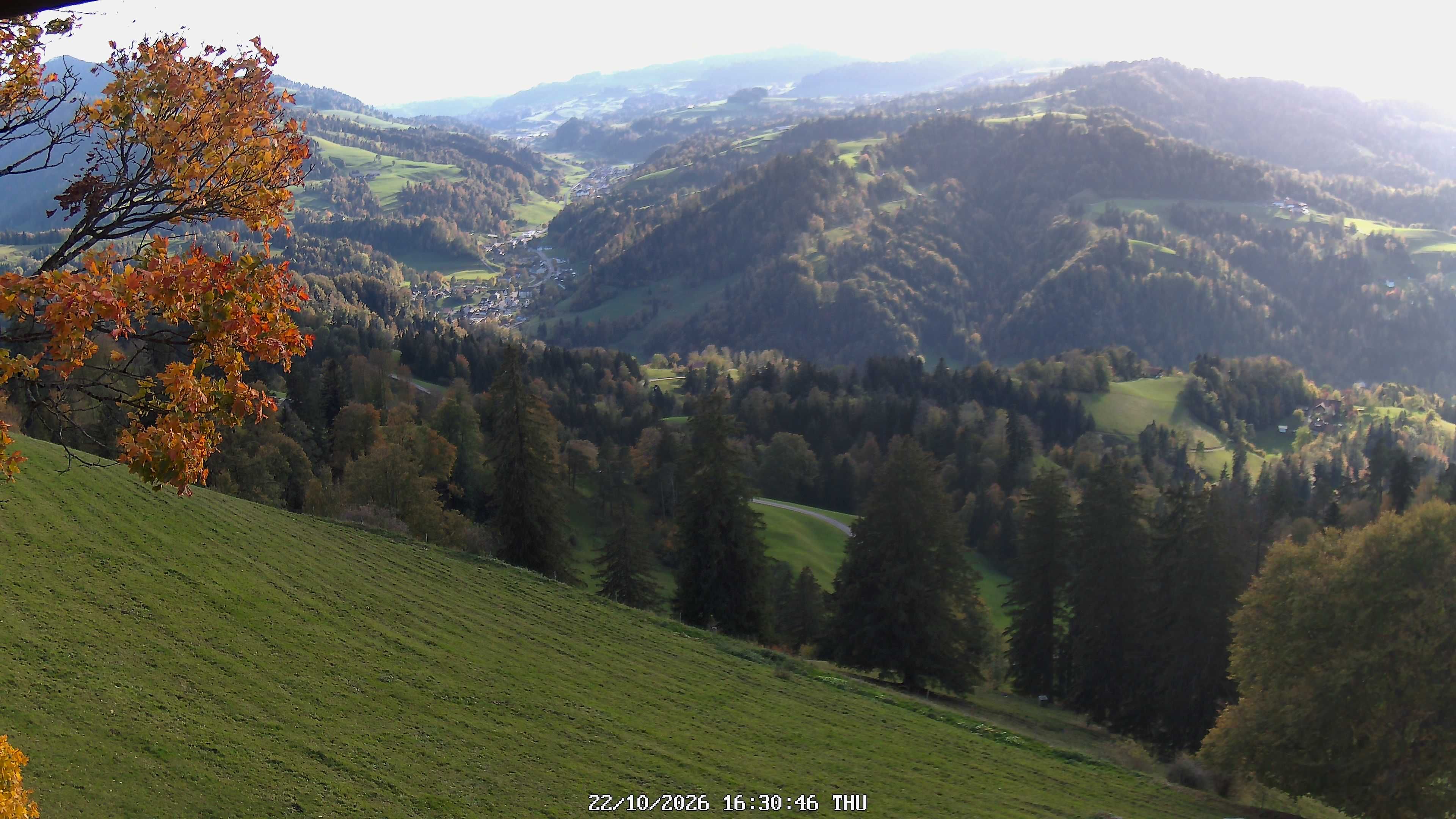 Fischenthal: Hörnli