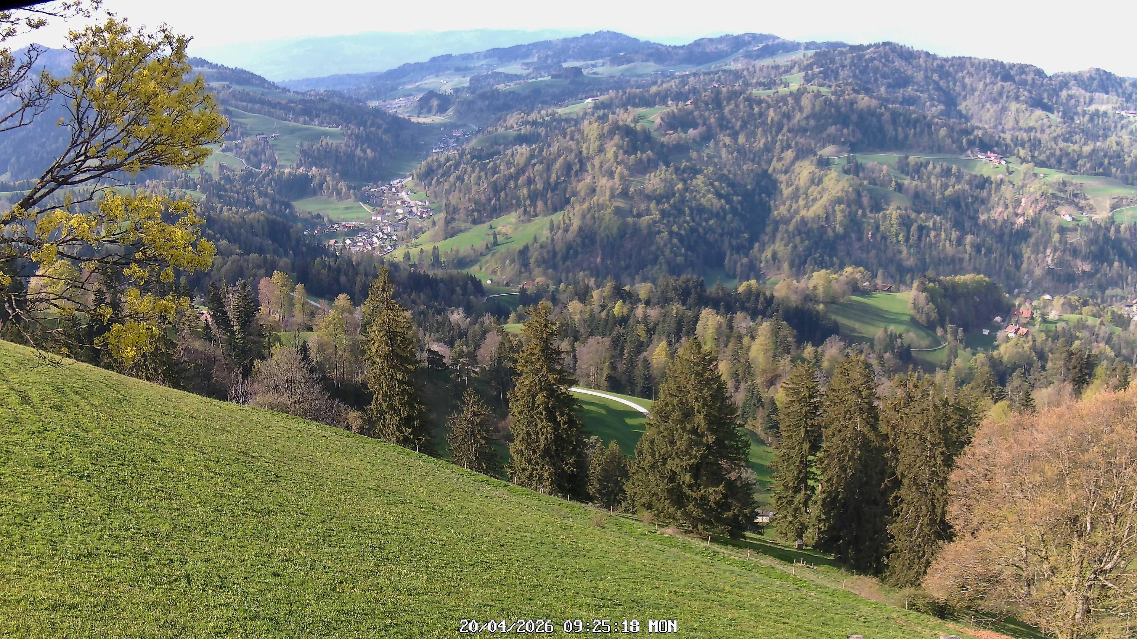 Fischenthal: Hörnli