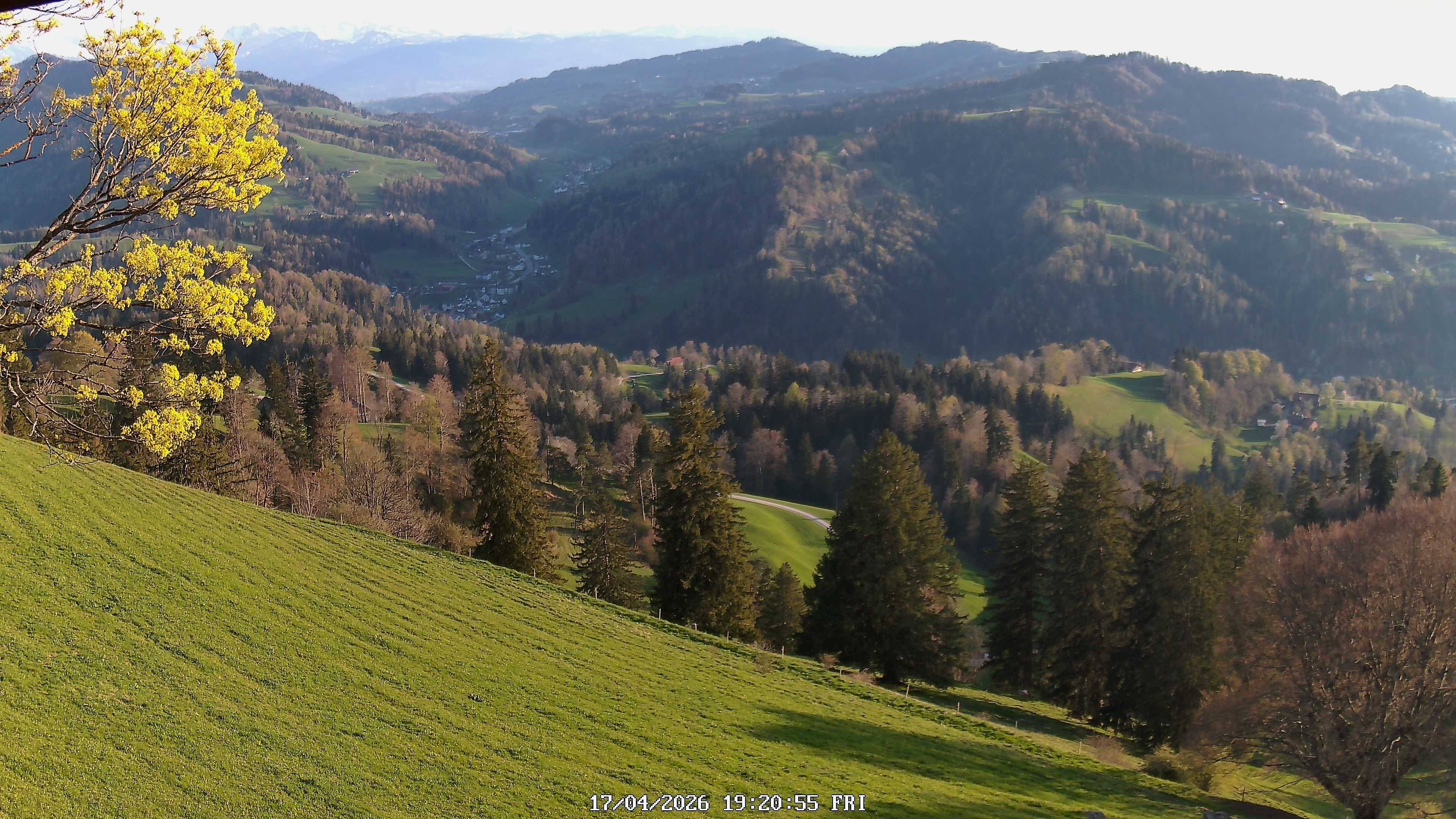 Fischenthal: Hörnli