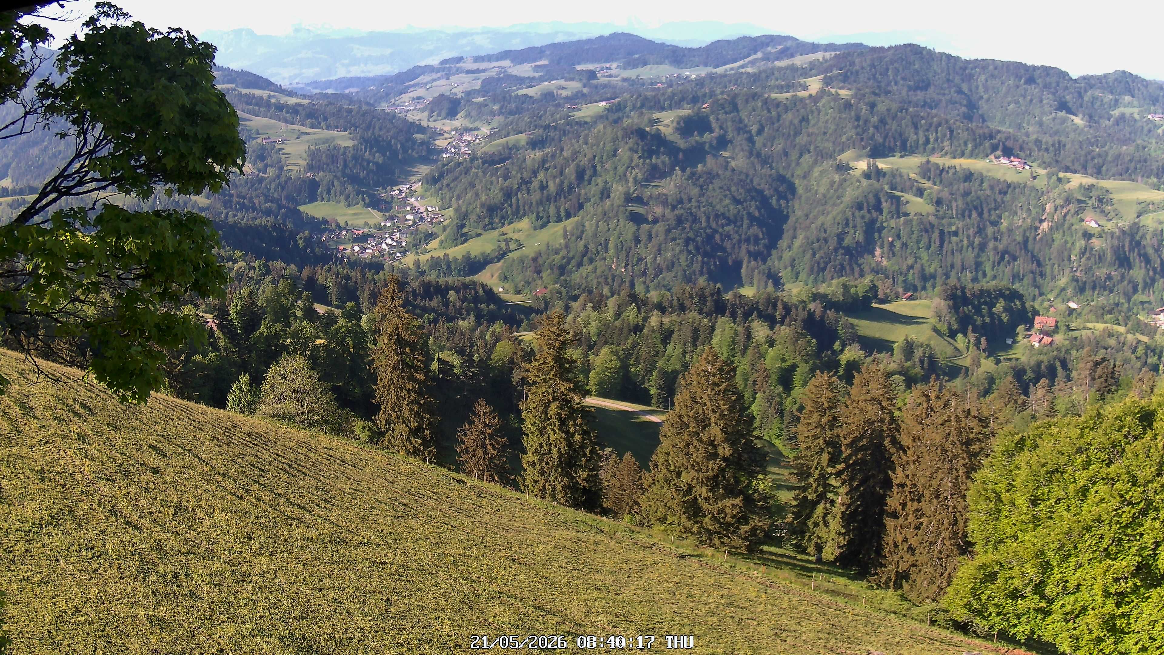 Fischenthal: Hörnli