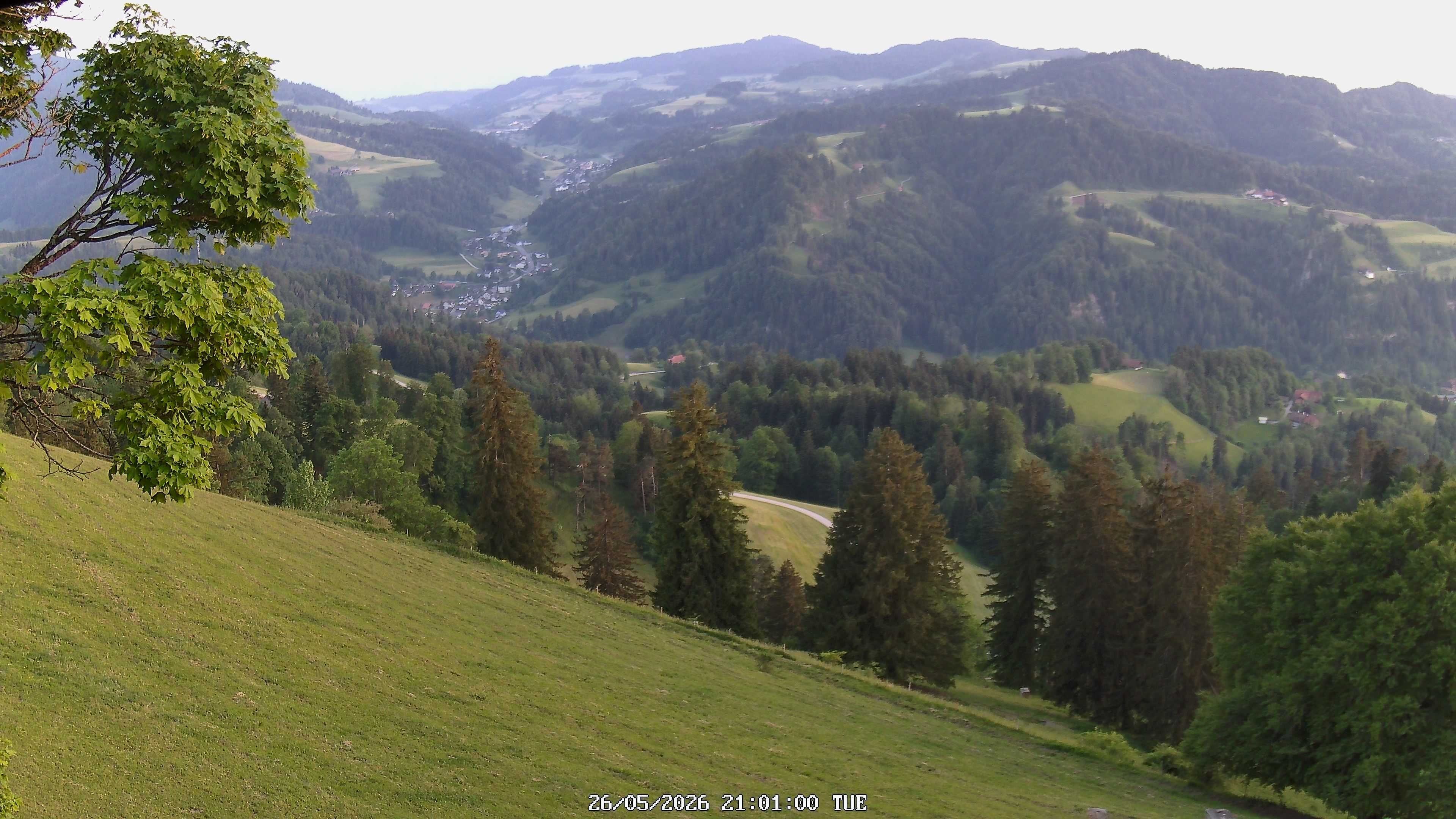 Fischenthal: Hörnli