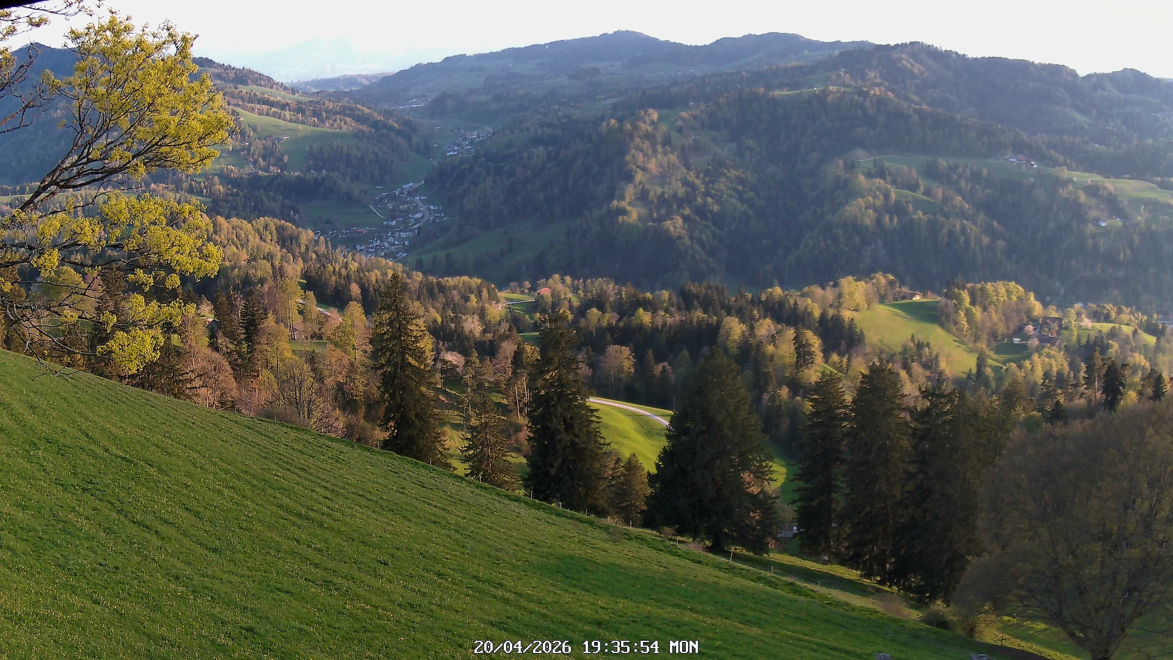 Fischenthal: Hörnli