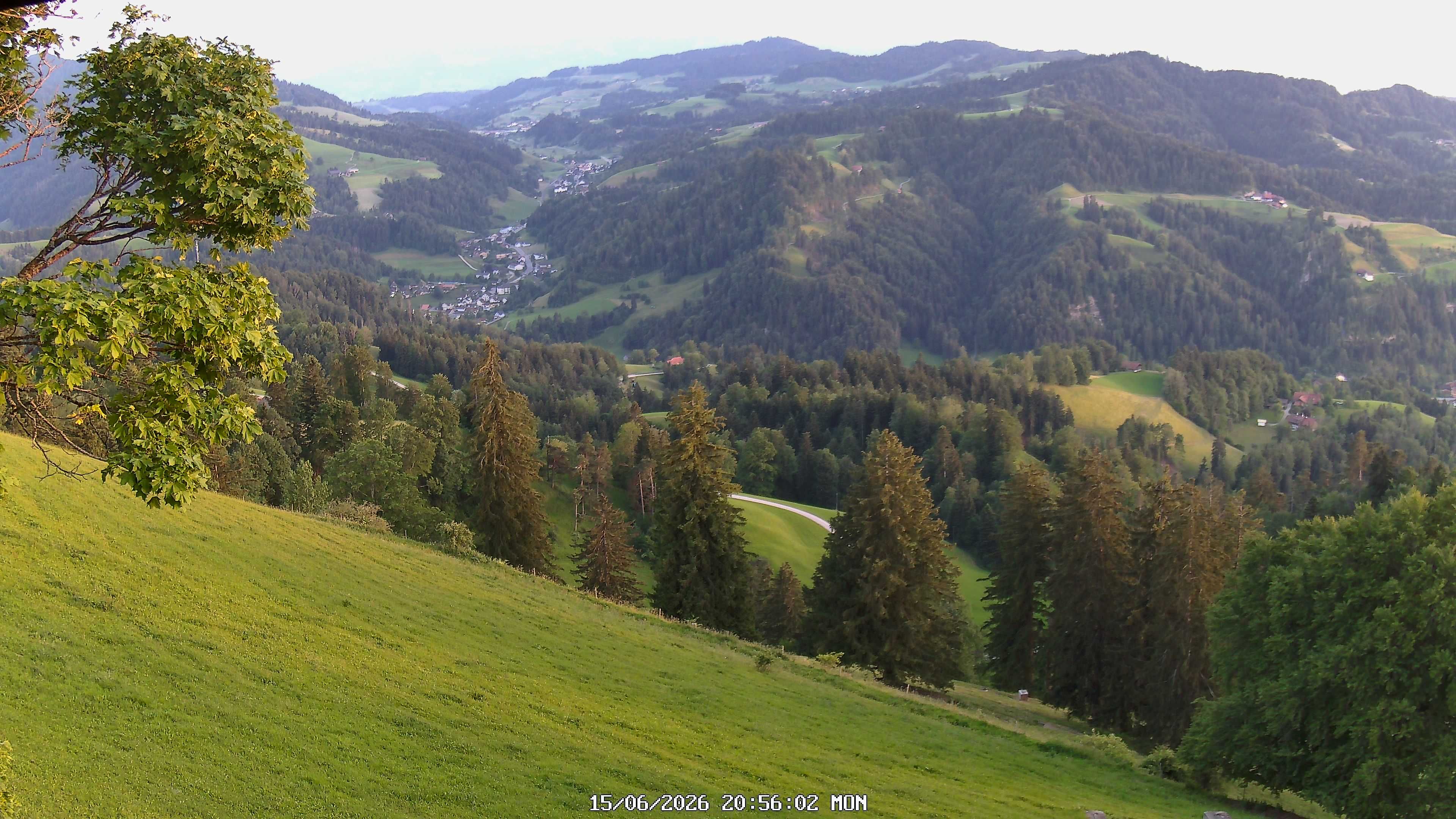 Fischenthal: Hörnli