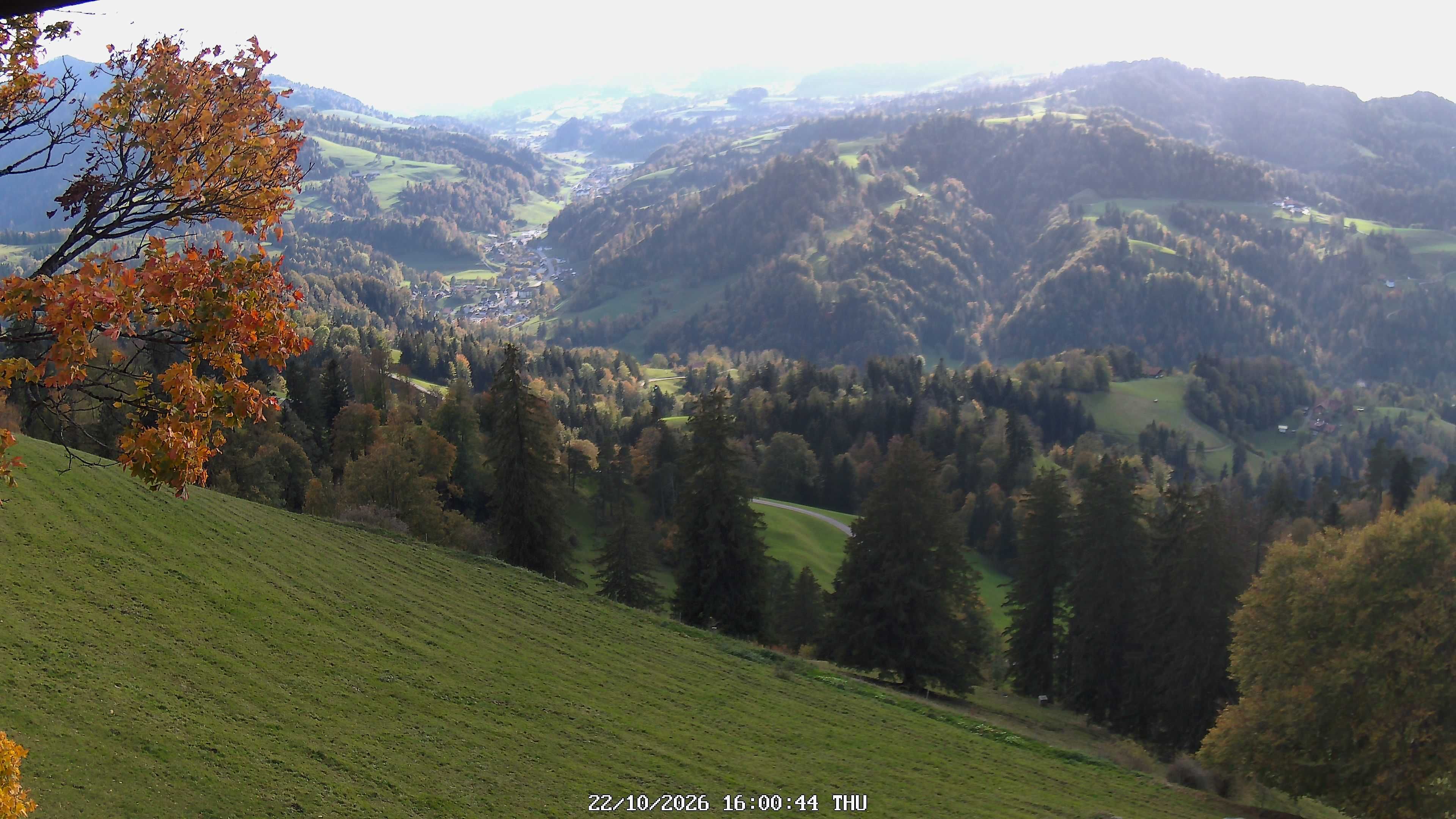 Fischenthal: Hörnli