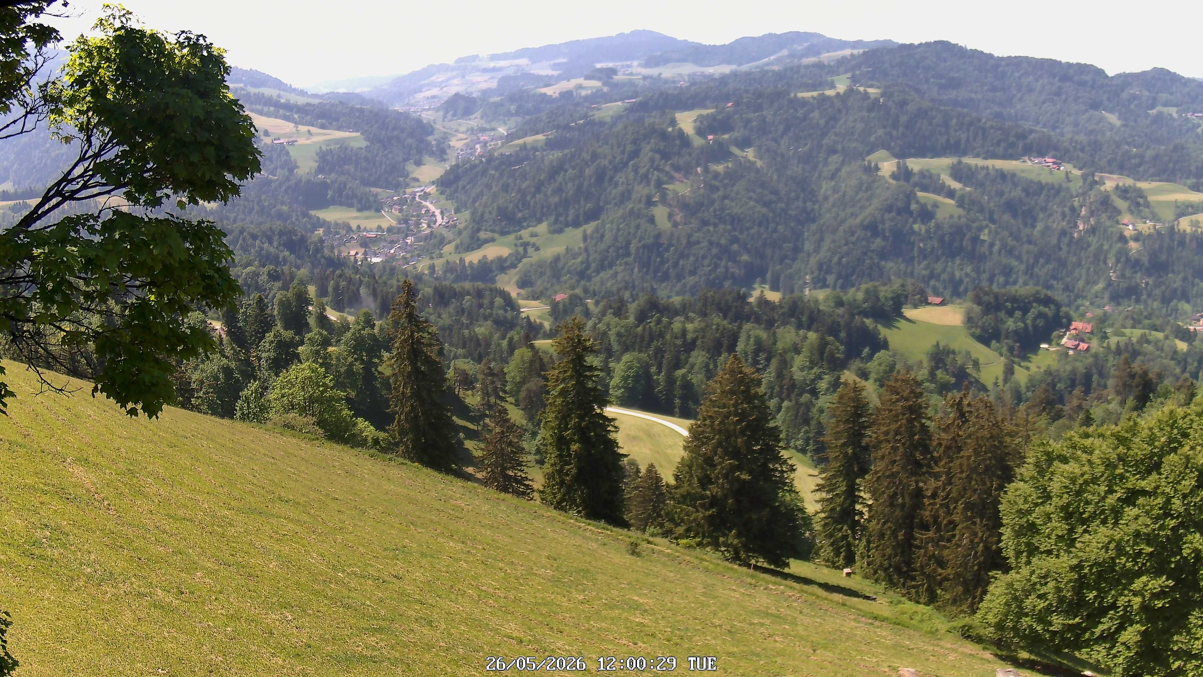 Fischenthal: Hörnli