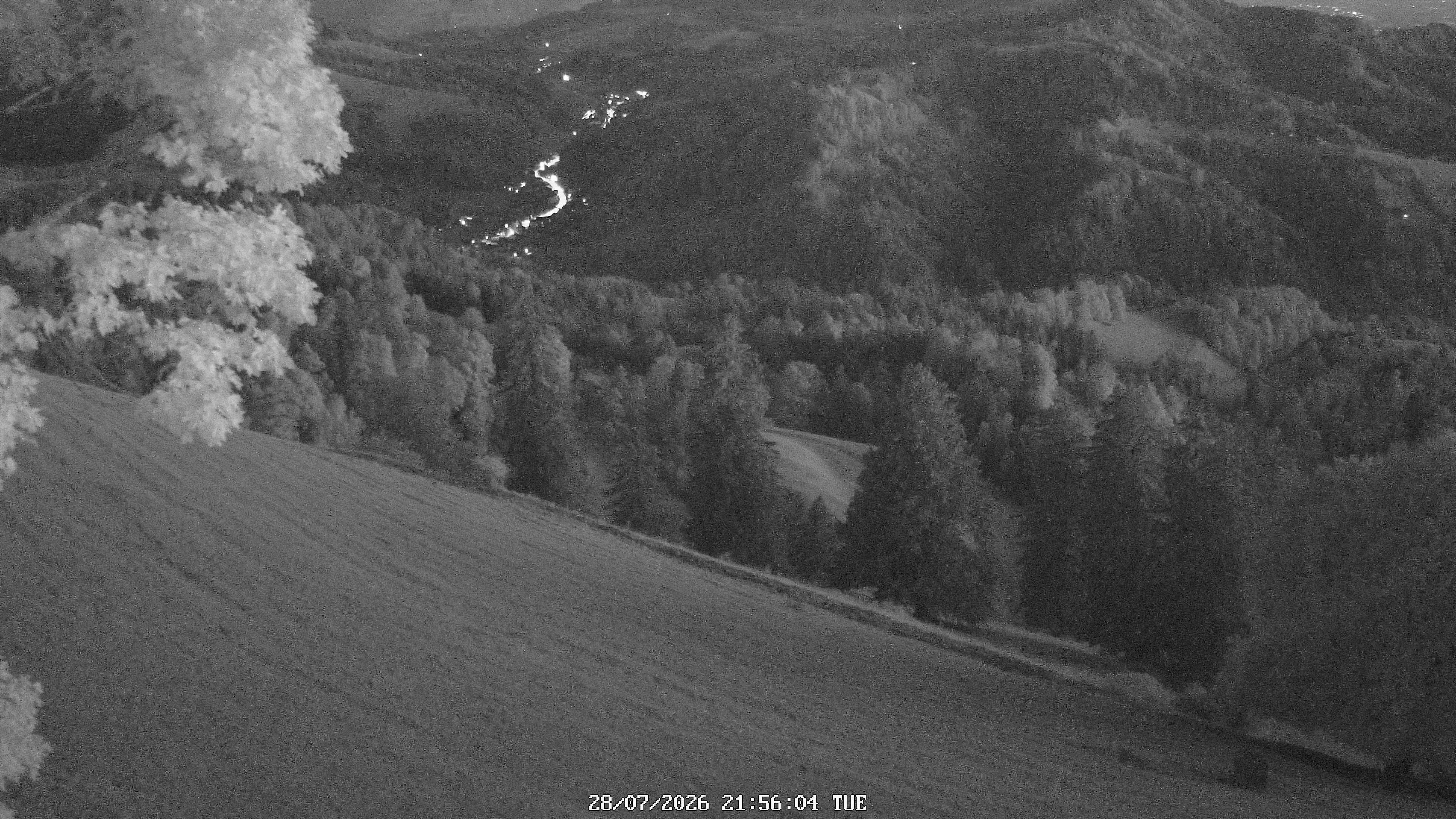Fischenthal: Hörnli