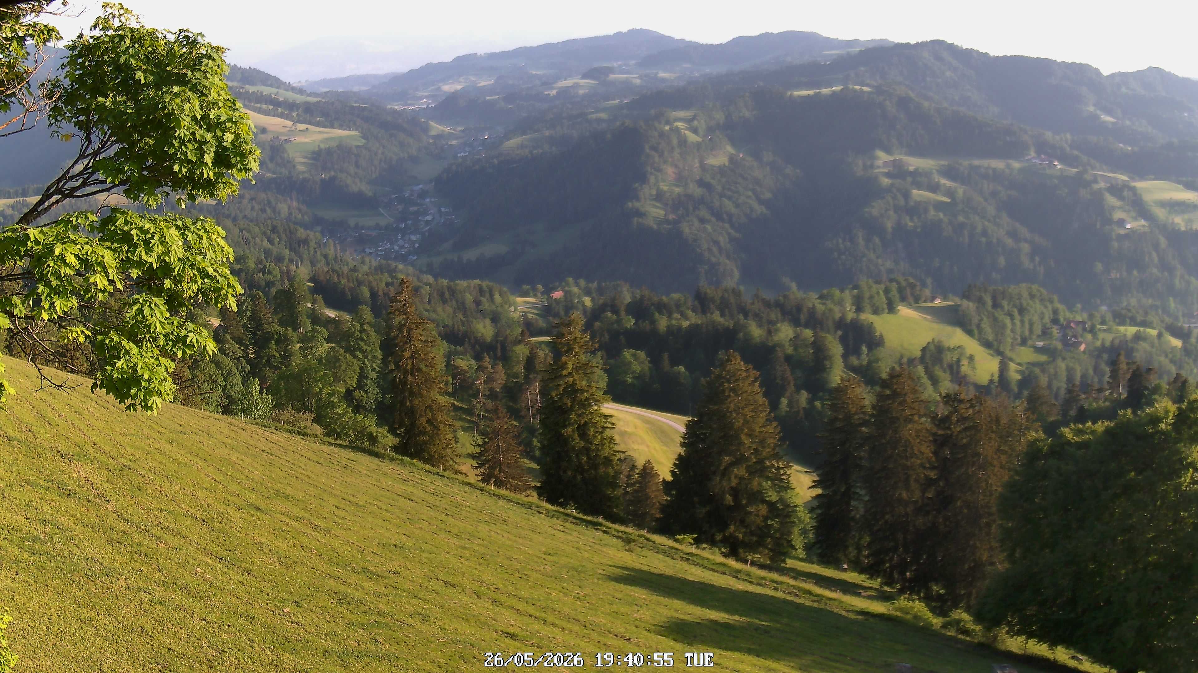 Fischenthal: Hörnli