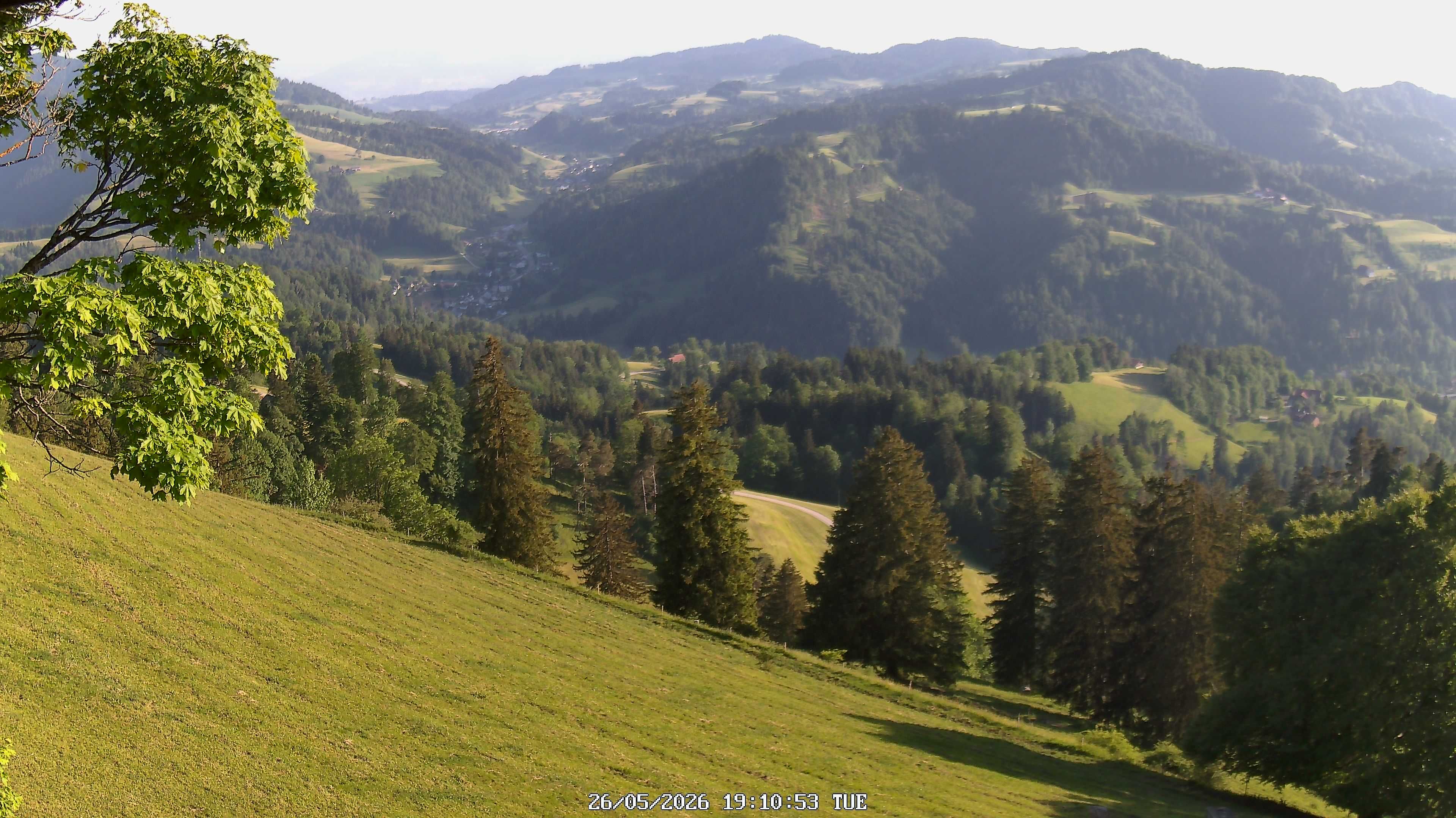 Fischenthal: Hörnli