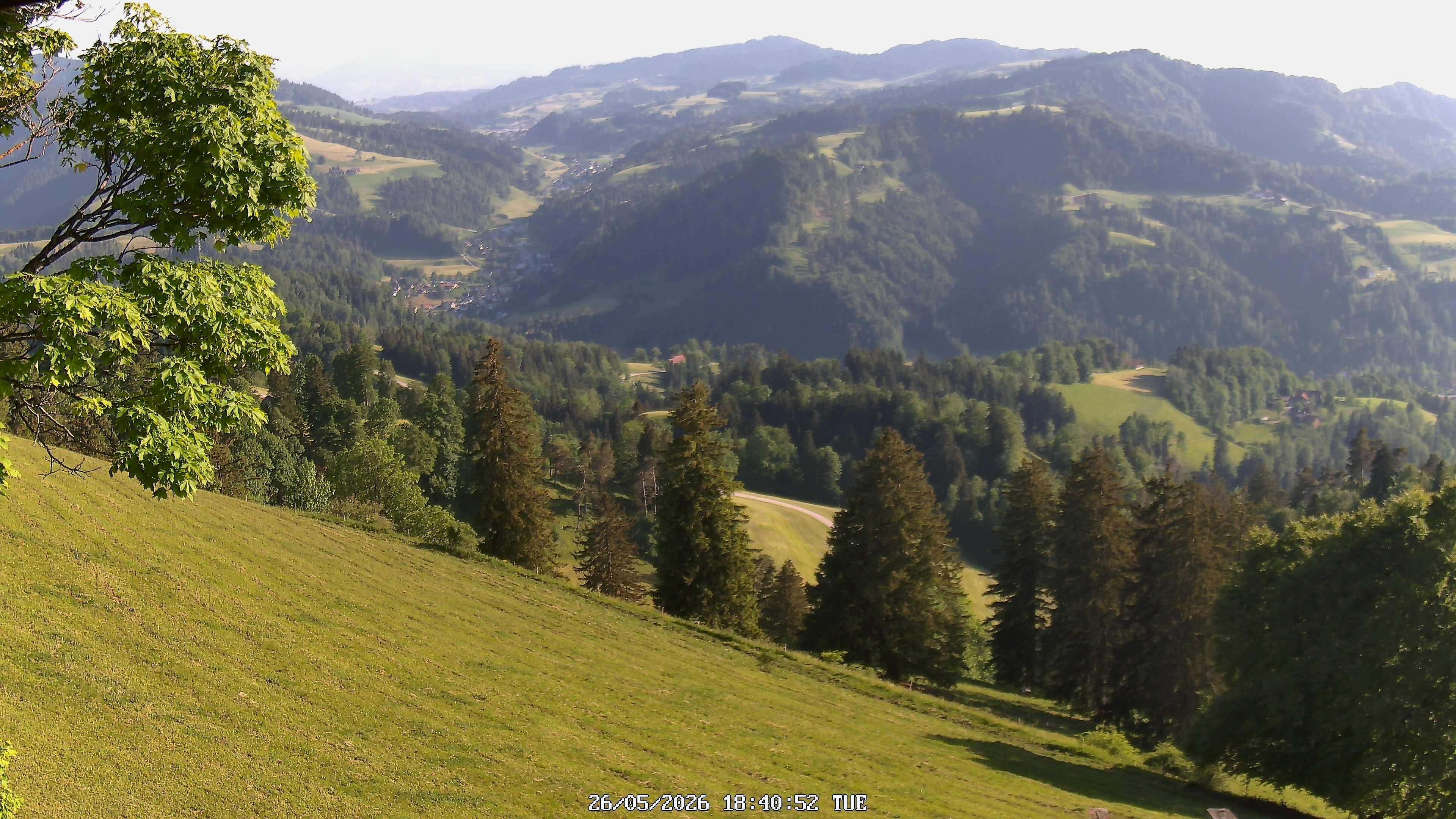Fischenthal: Hörnli