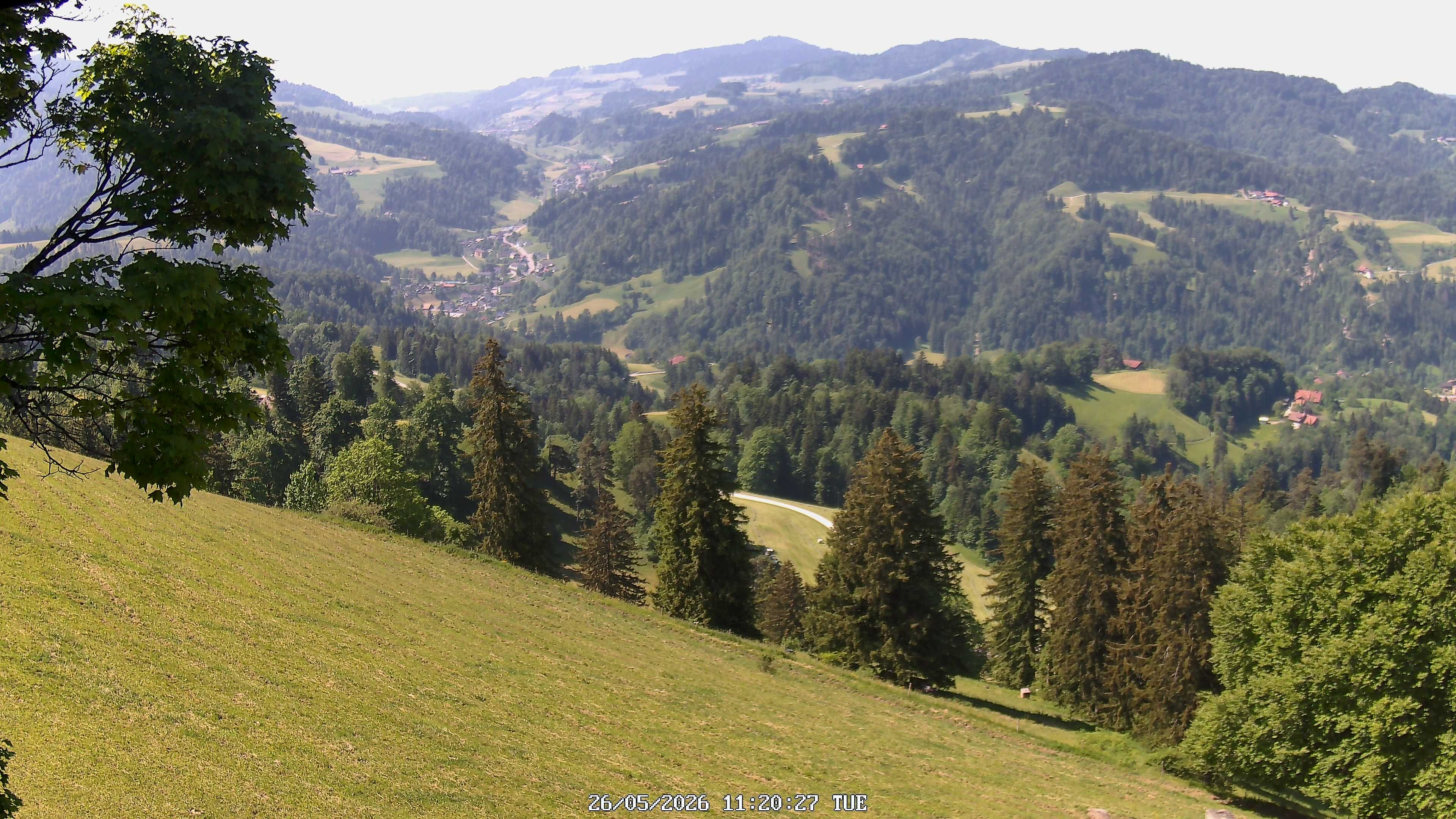 Fischenthal: Hörnli