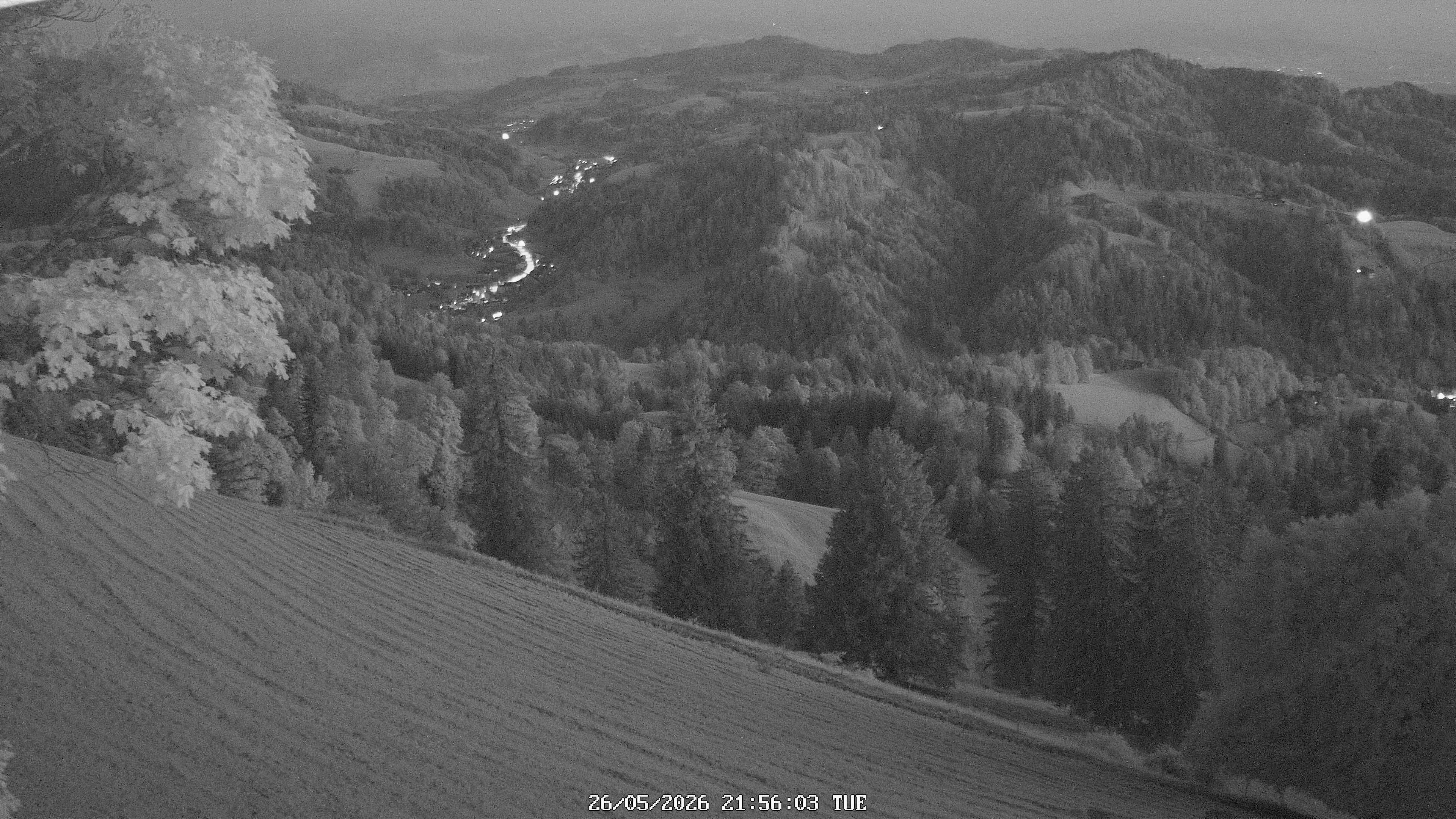 Fischenthal: Hörnli