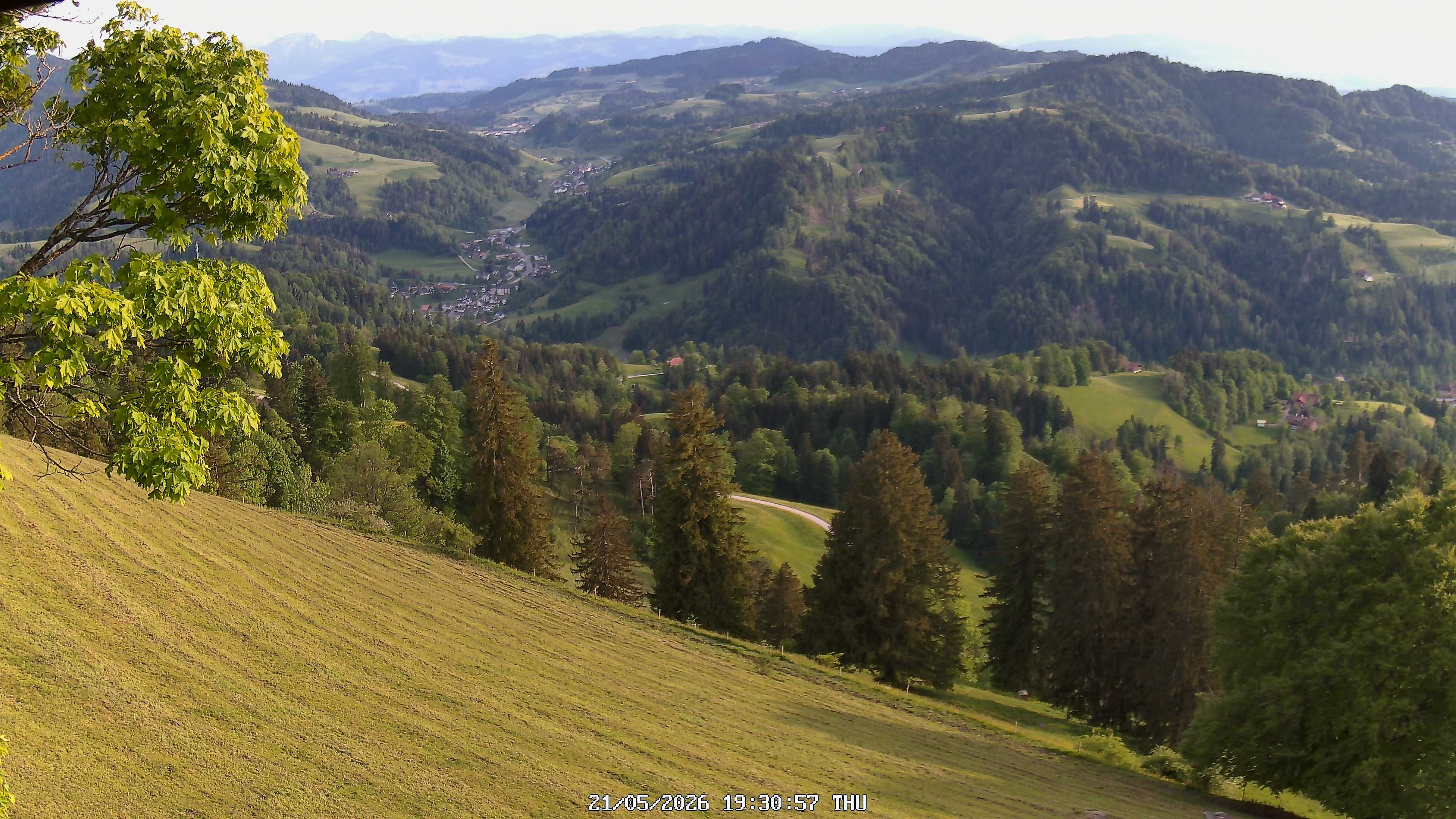 Fischenthal: Hörnli