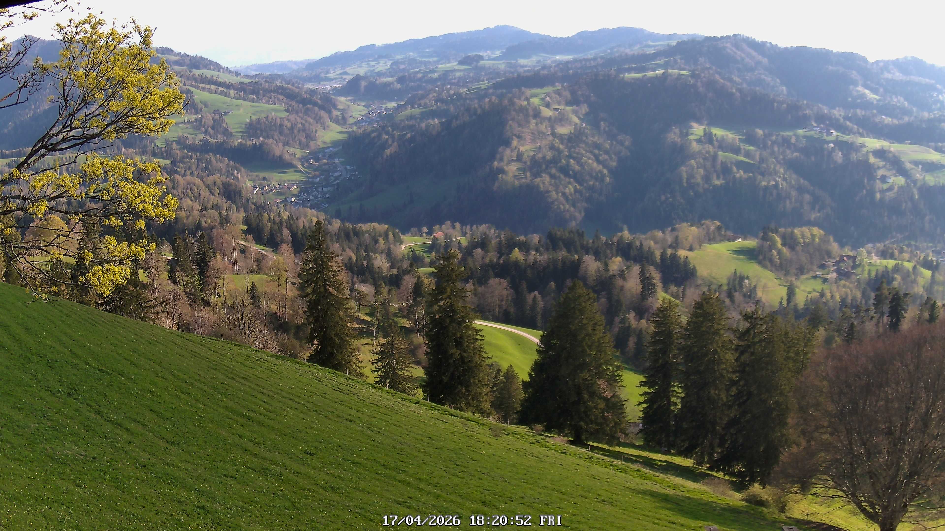 Fischenthal: Hörnli