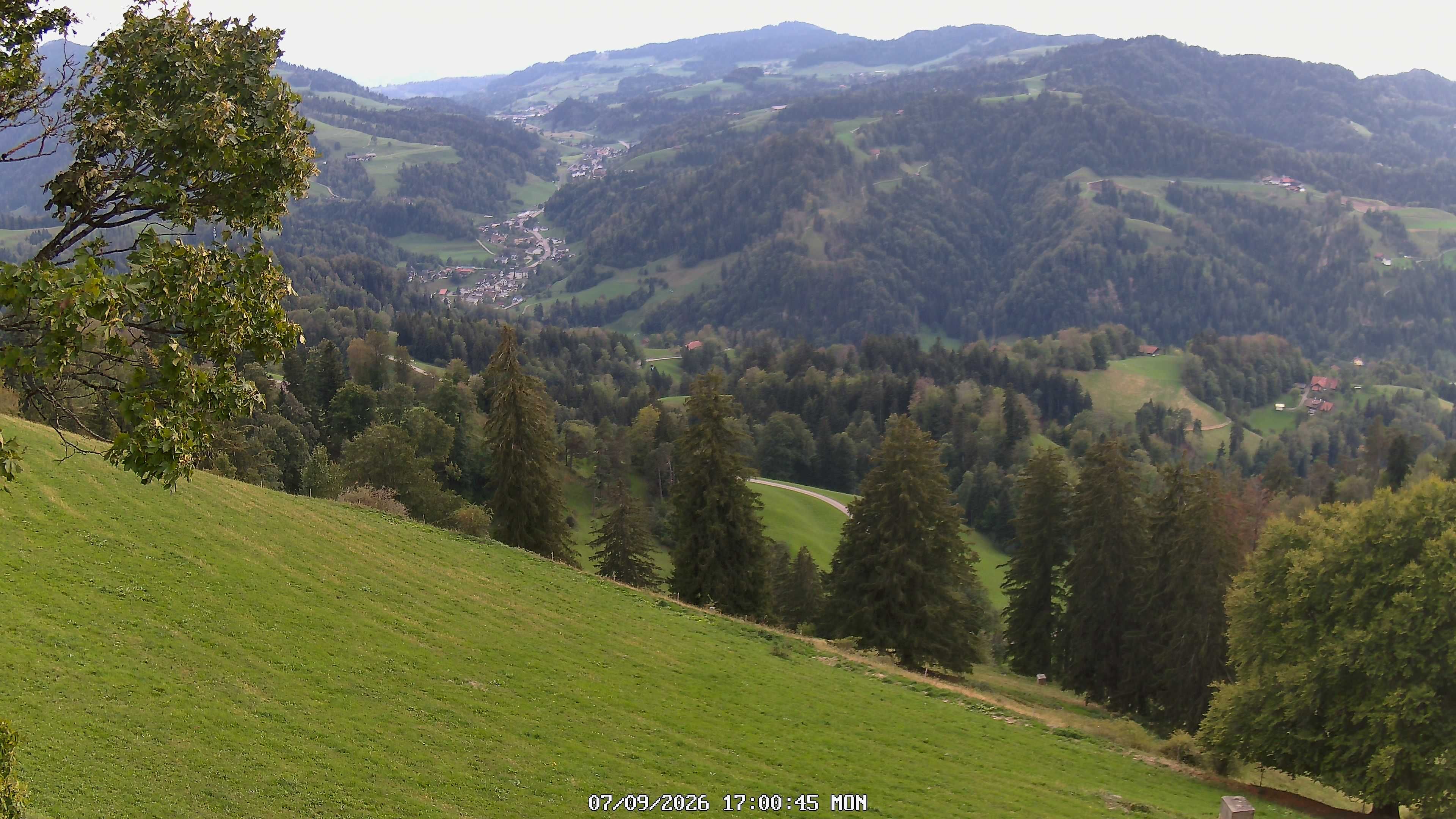 Fischenthal: Hörnli