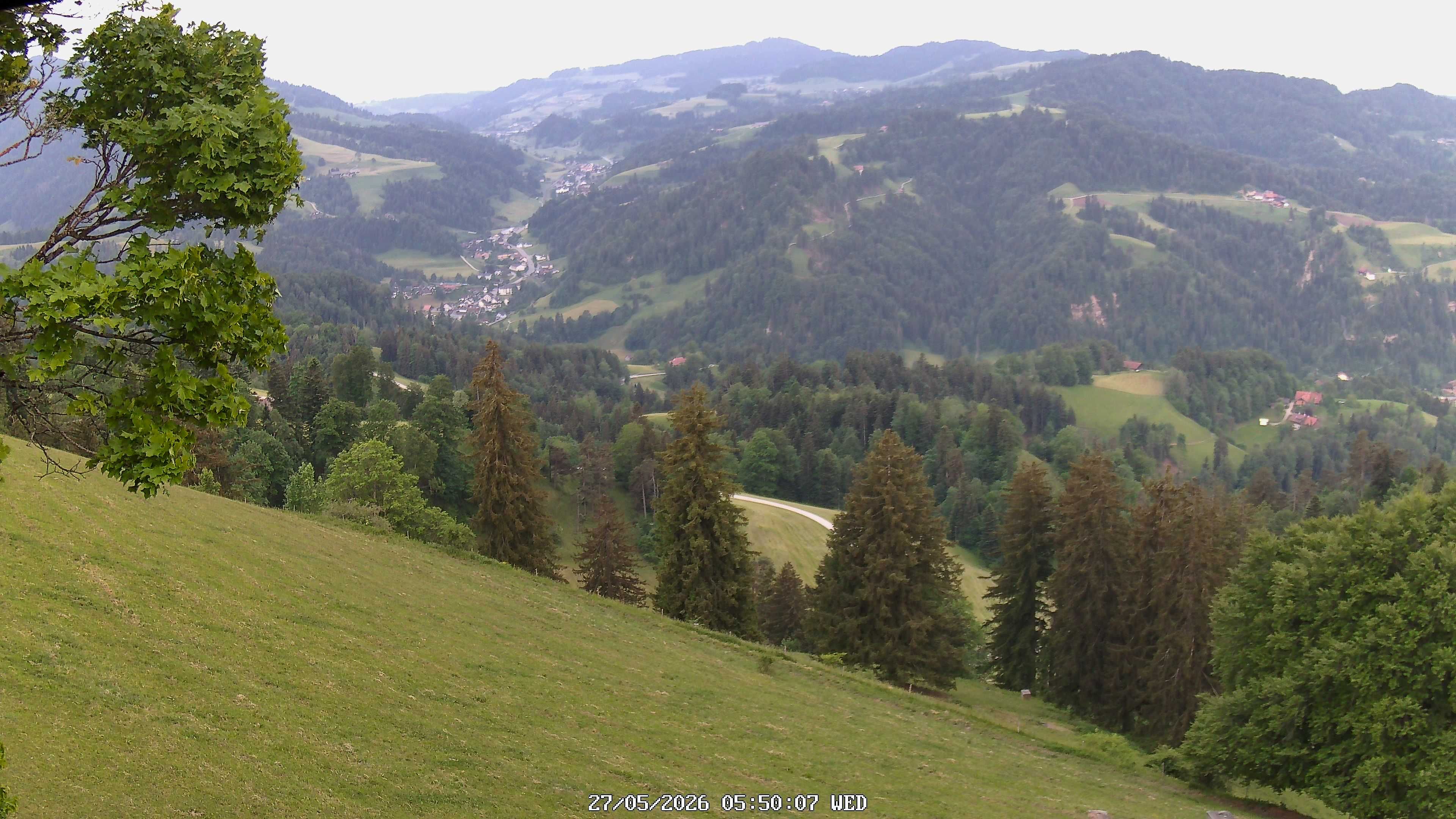 Fischenthal: Hörnli