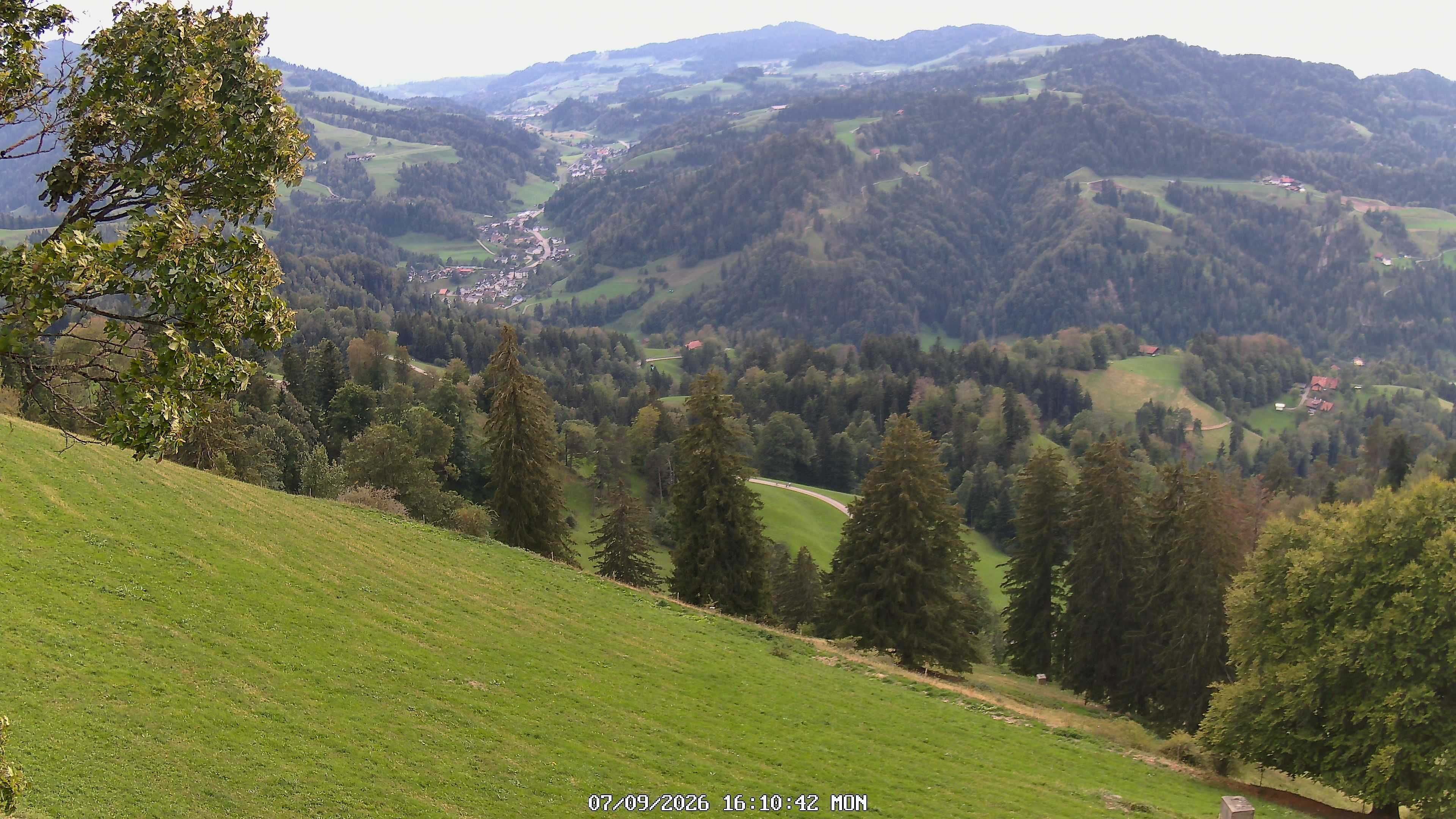 Fischenthal: Hörnli