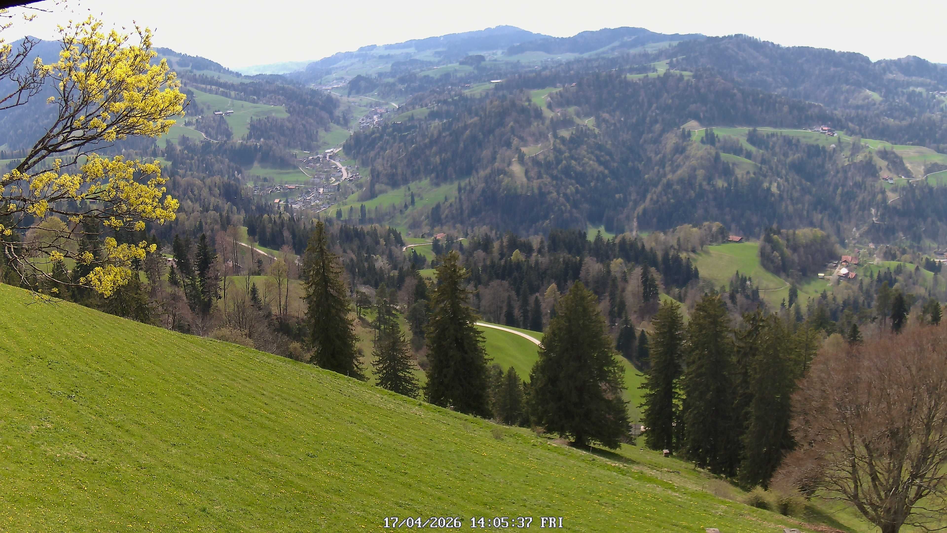 Fischenthal: Hörnli