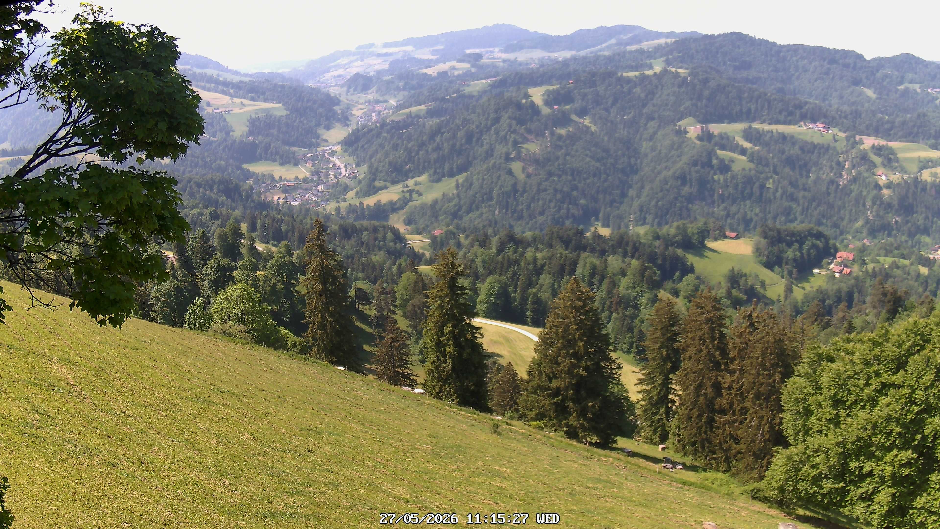Fischenthal: Hörnli