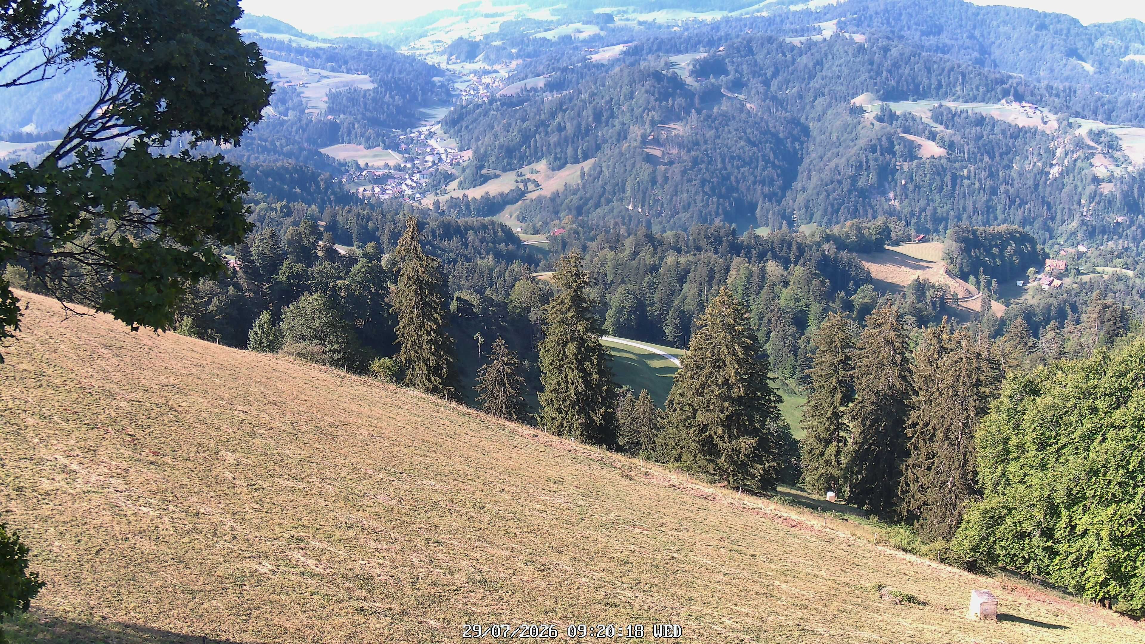 Fischenthal: Hörnli