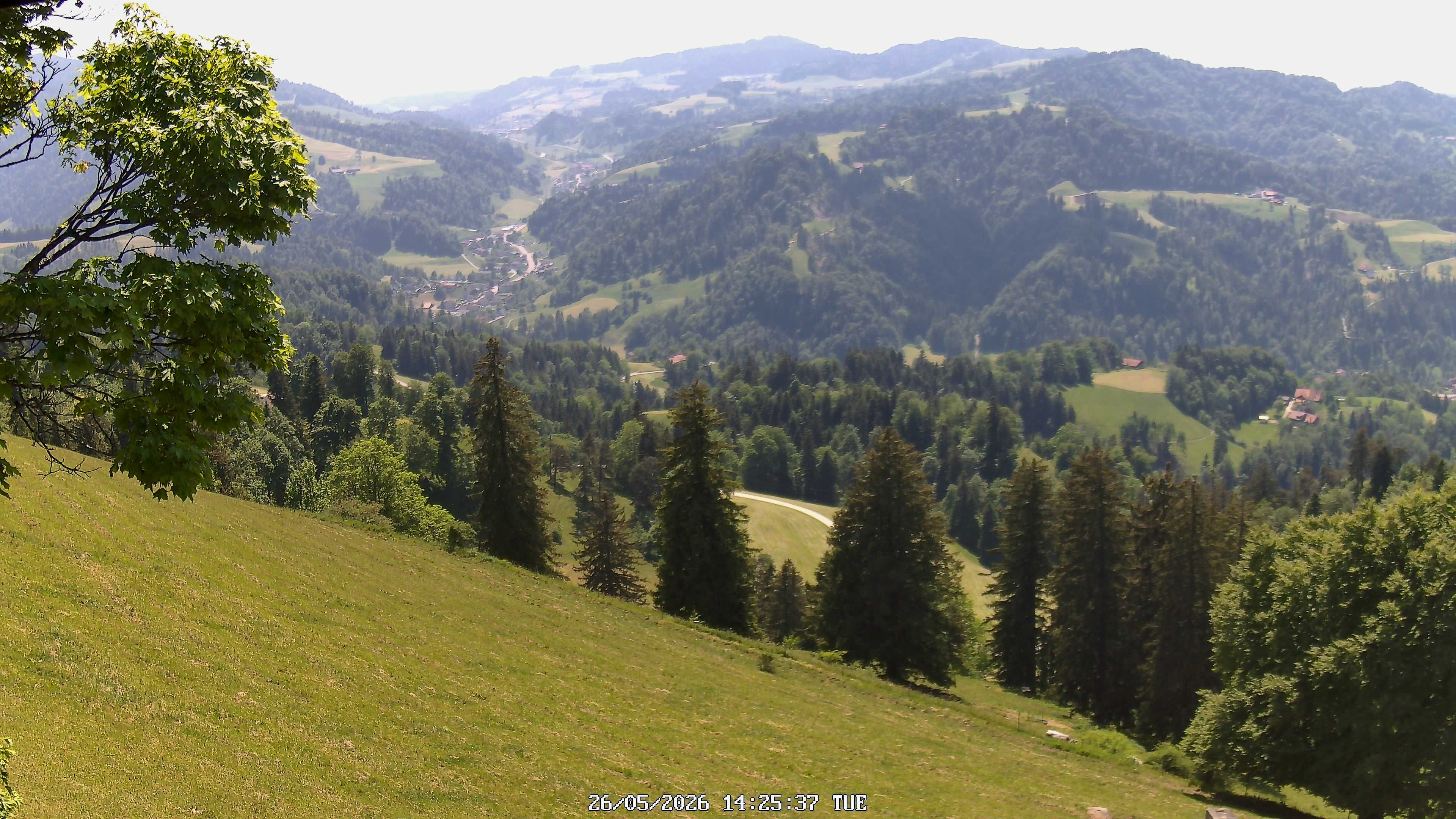 Fischenthal: Hörnli