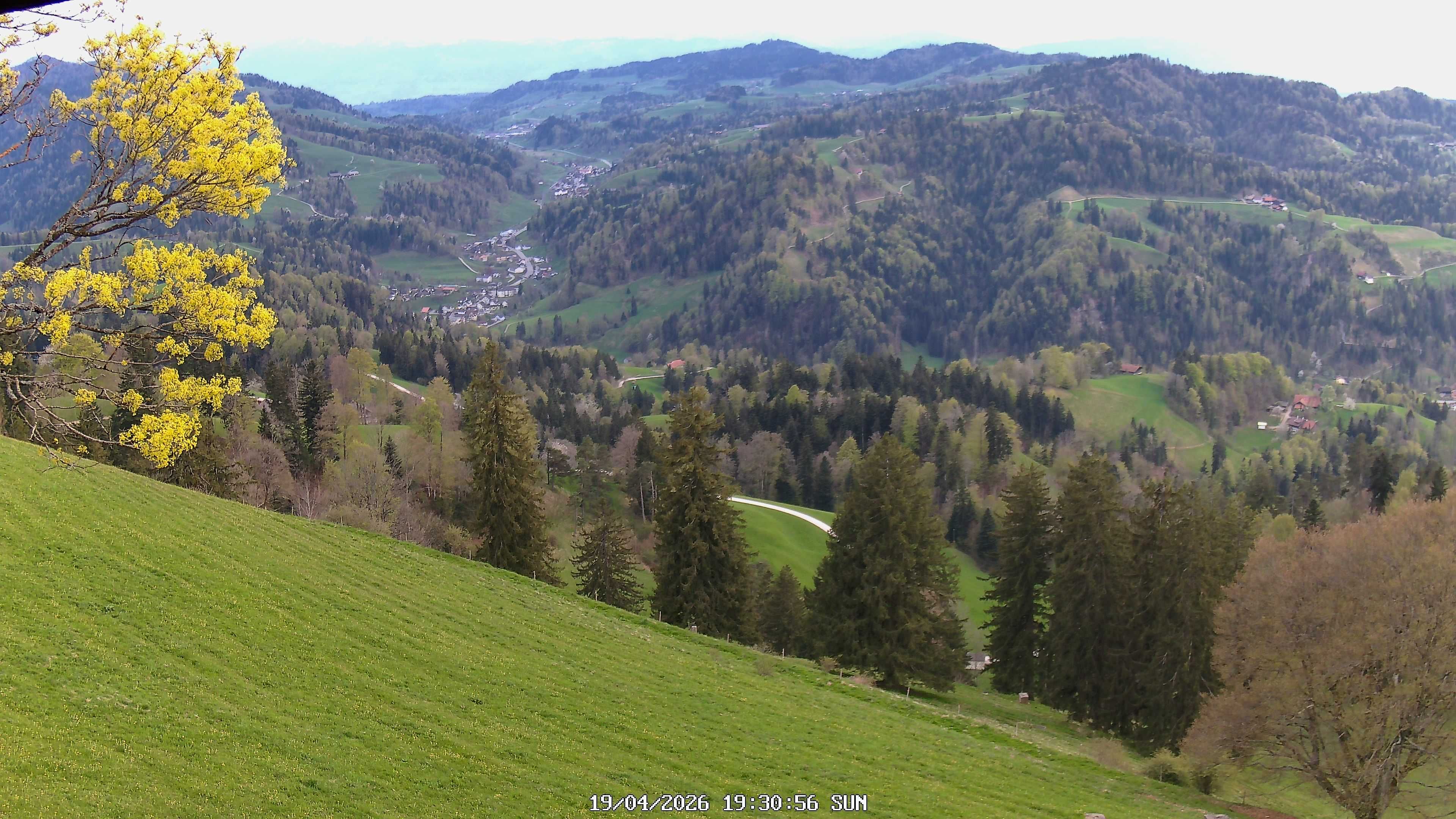 Fischenthal: Hörnli