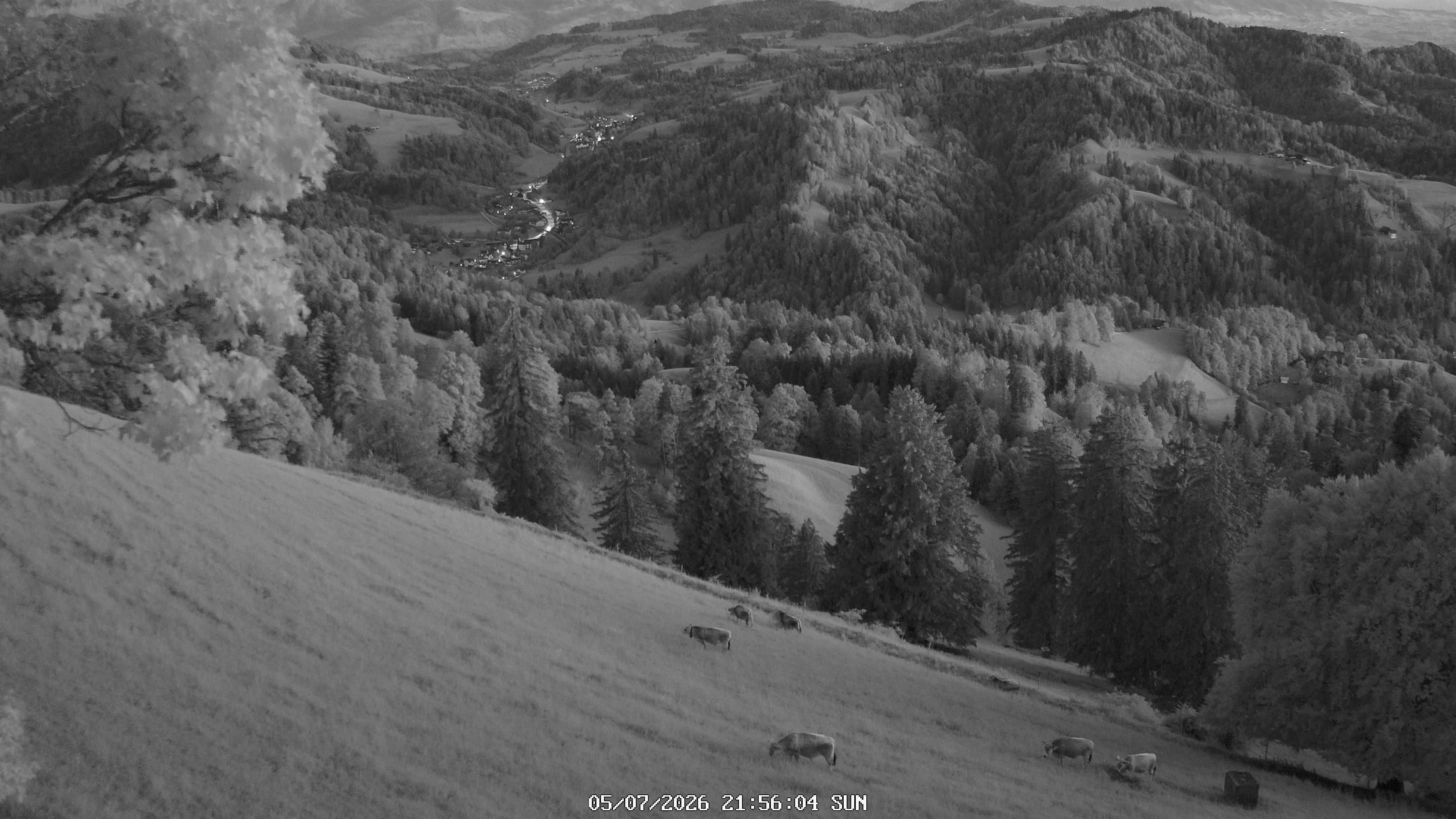 Fischenthal: Hörnli