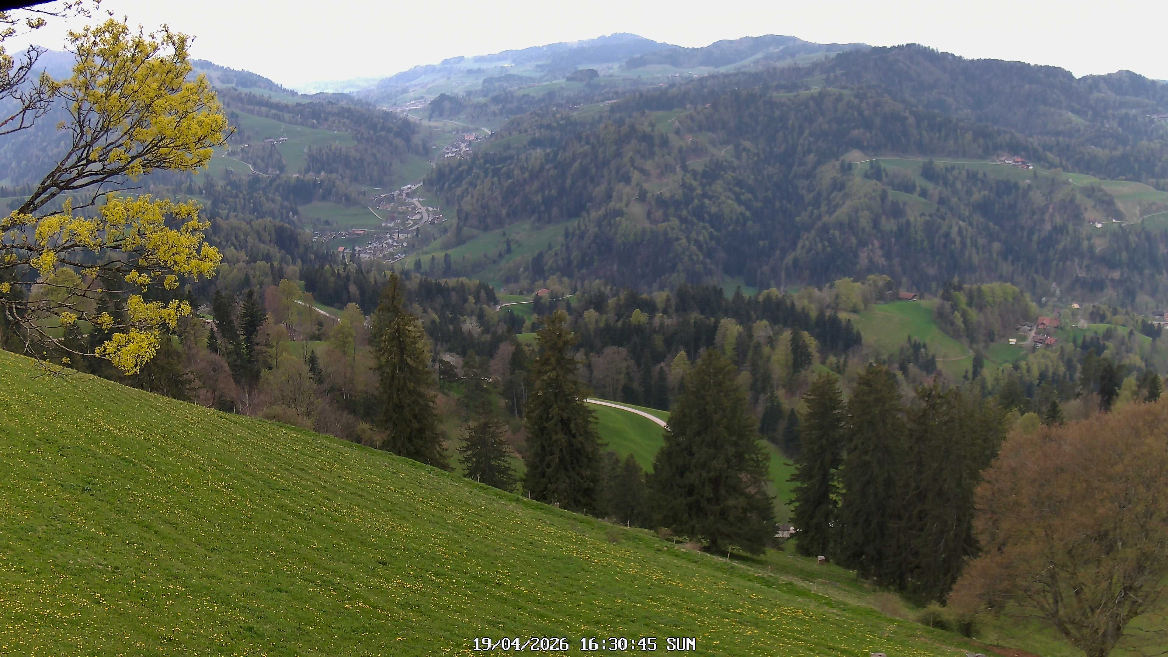 Fischenthal: Hörnli