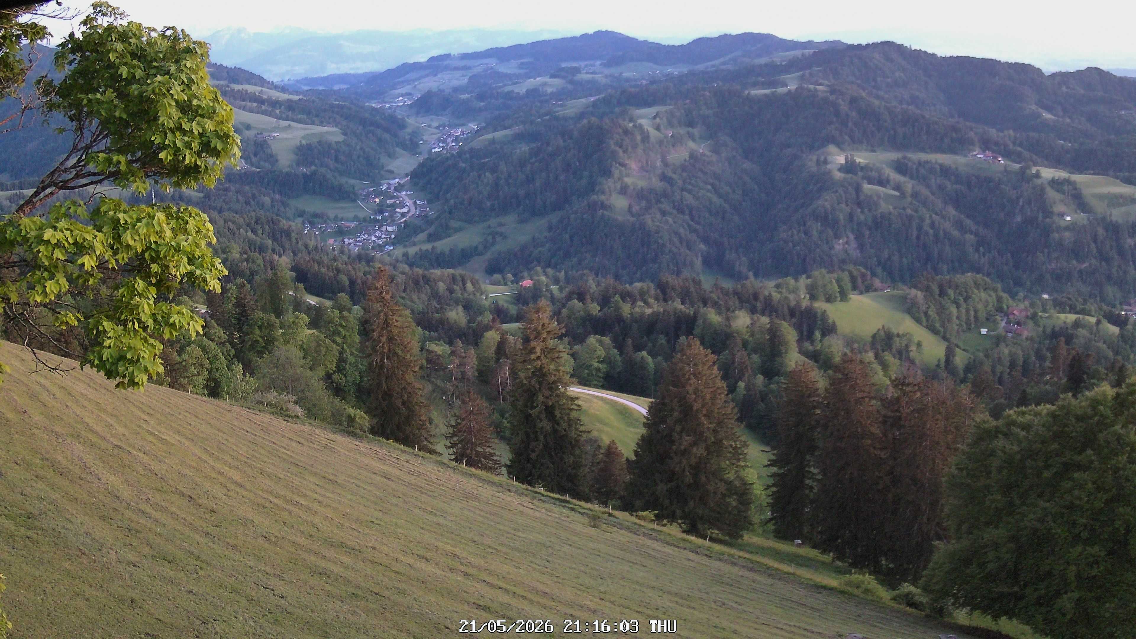 Fischenthal: Hörnli