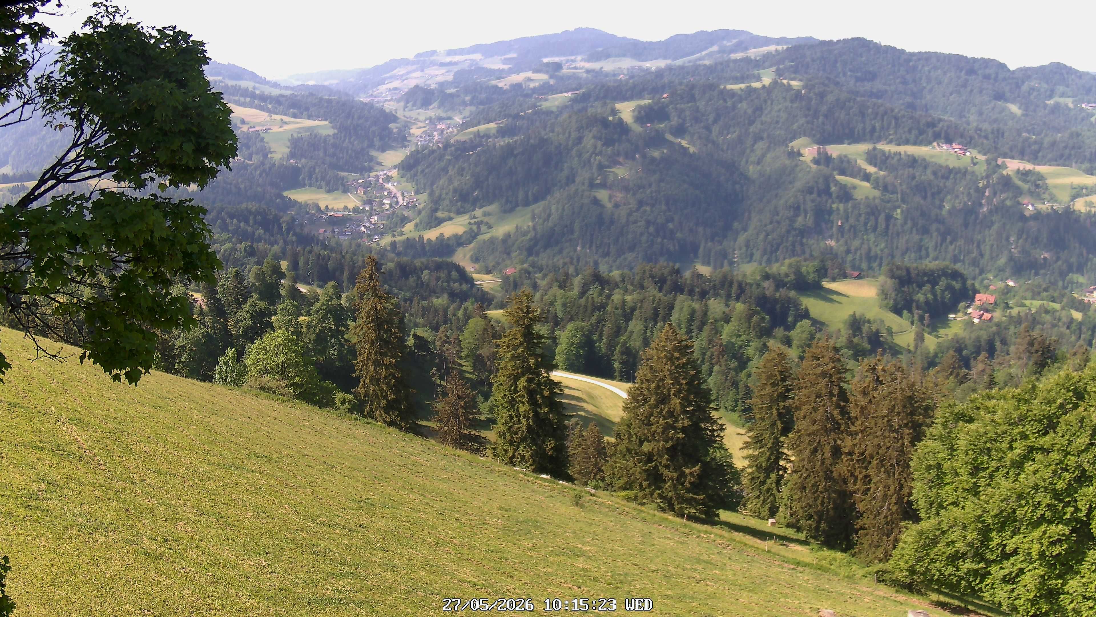 Fischenthal: Hörnli