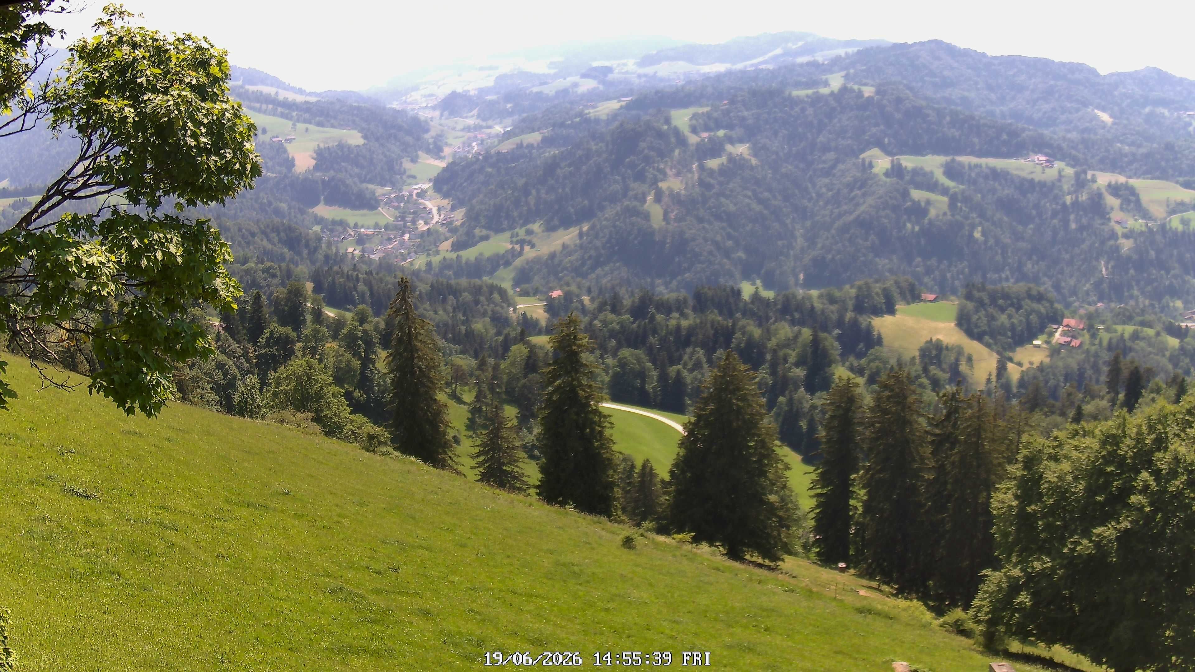 Fischenthal: Hörnli