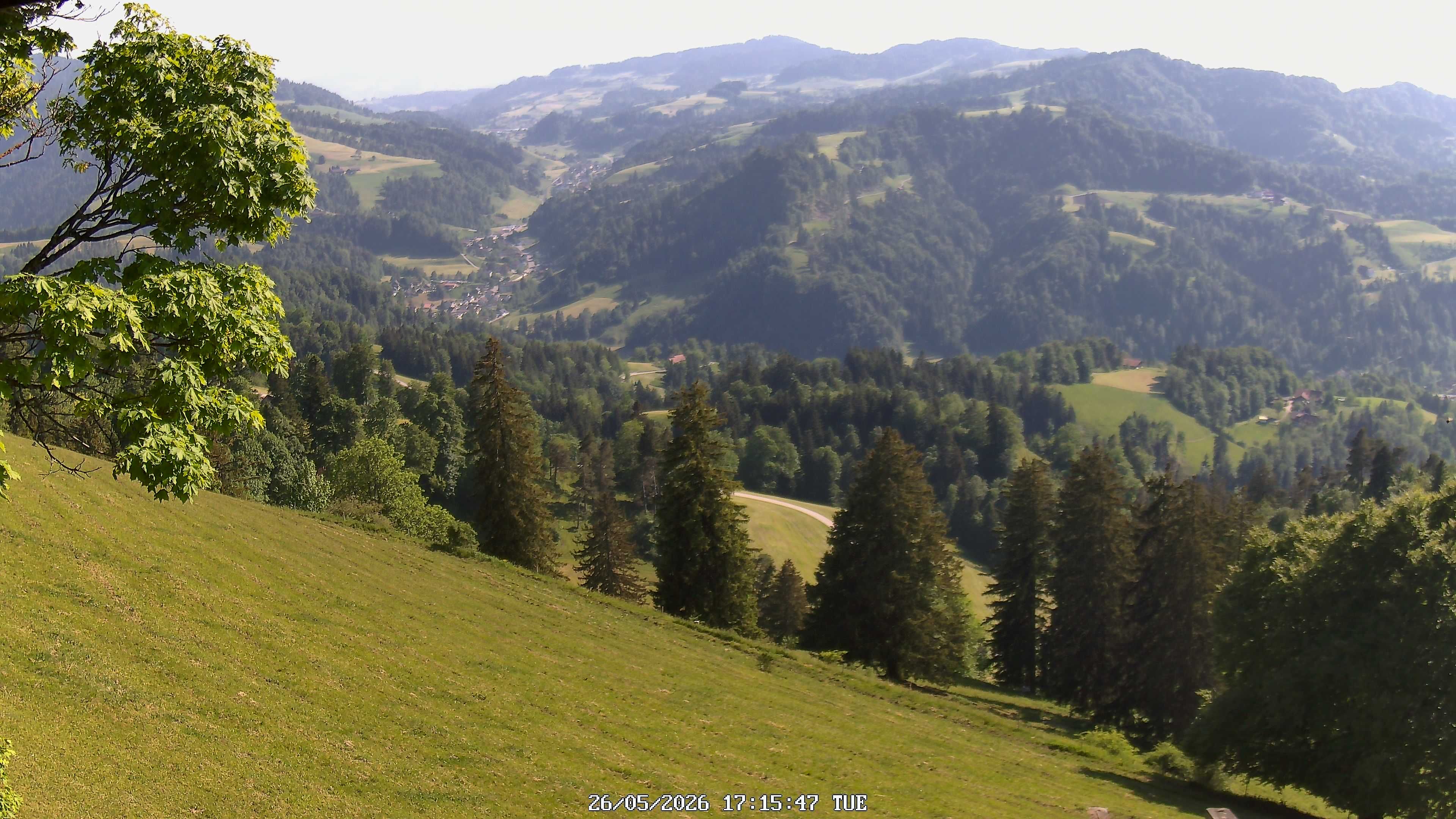 Fischenthal: Hörnli