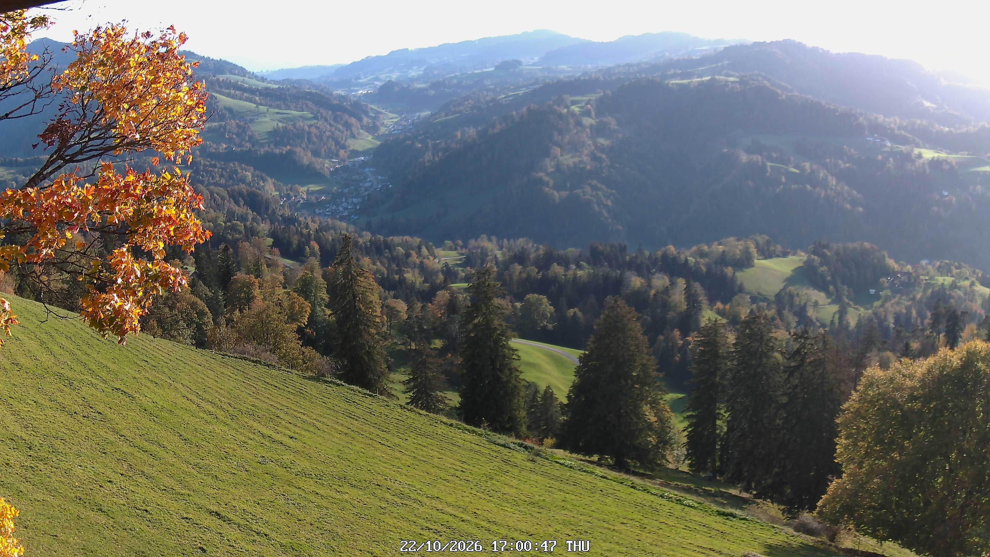 Fischenthal: Hörnli