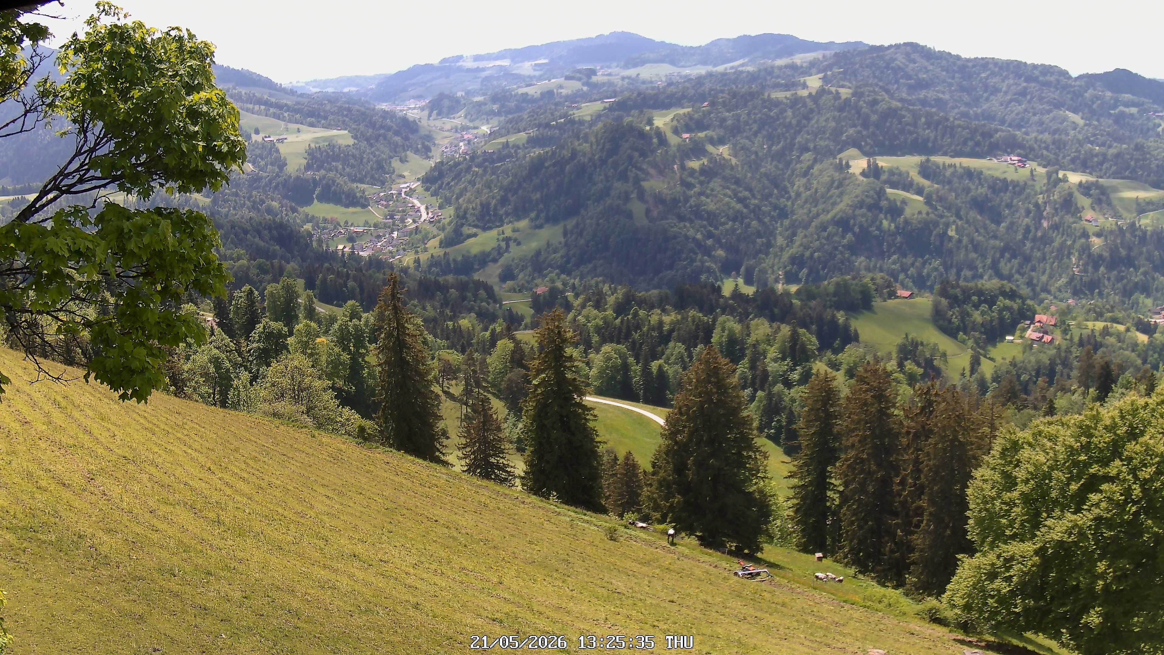 Fischenthal: Hörnli