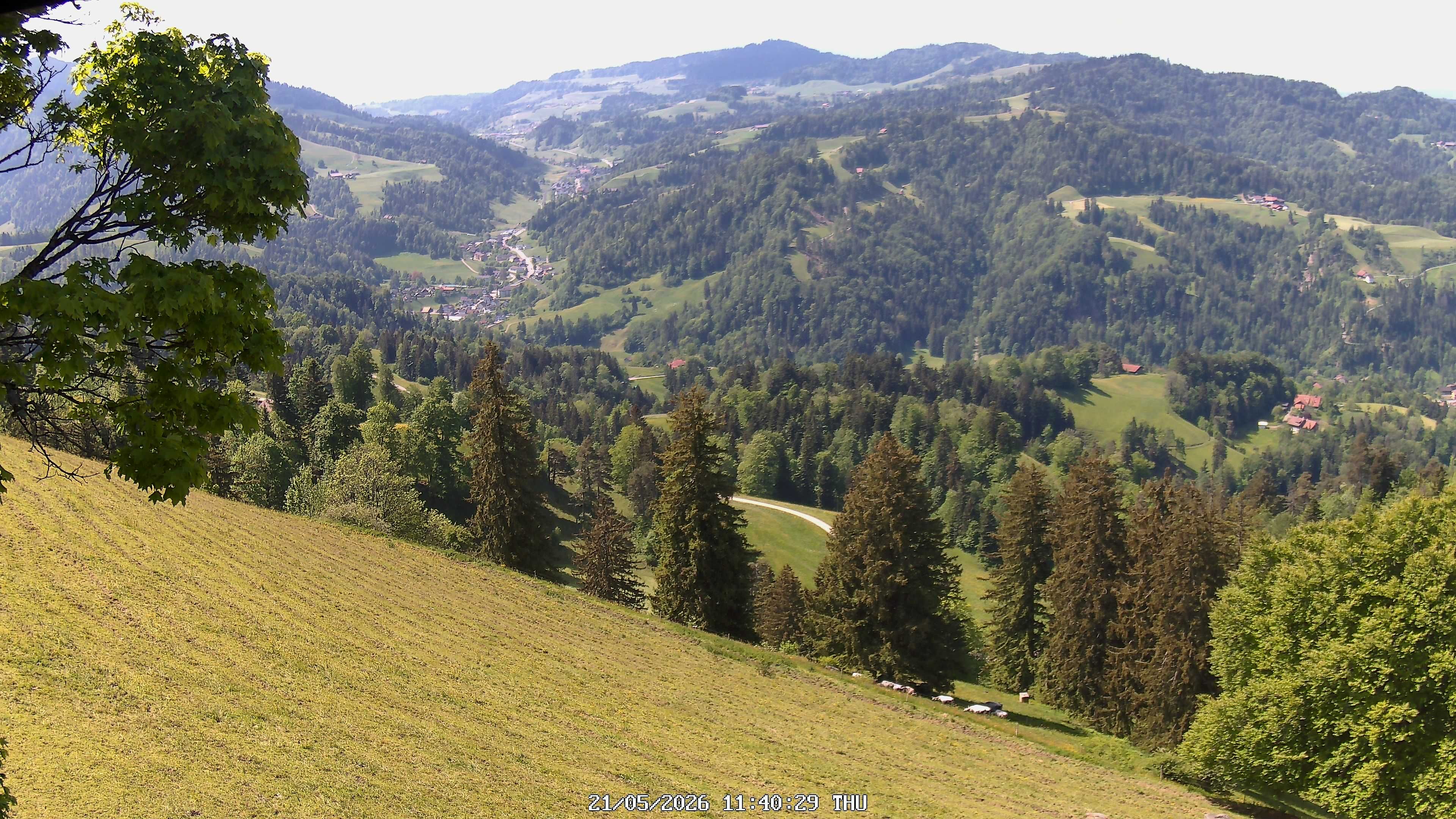 Fischenthal: Hörnli