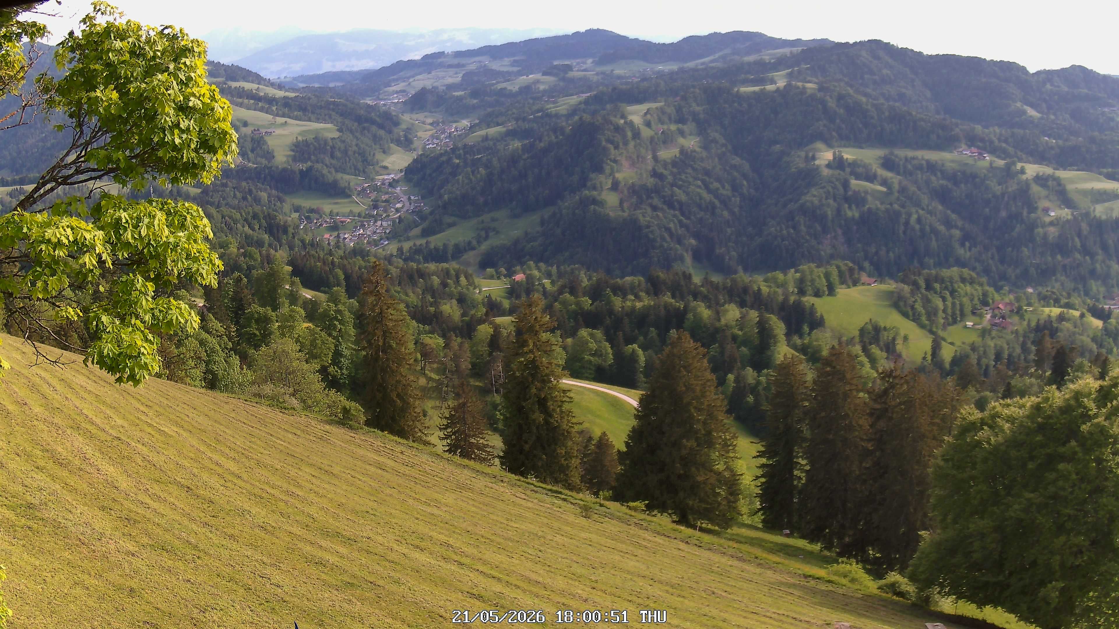 Fischenthal: Hörnli