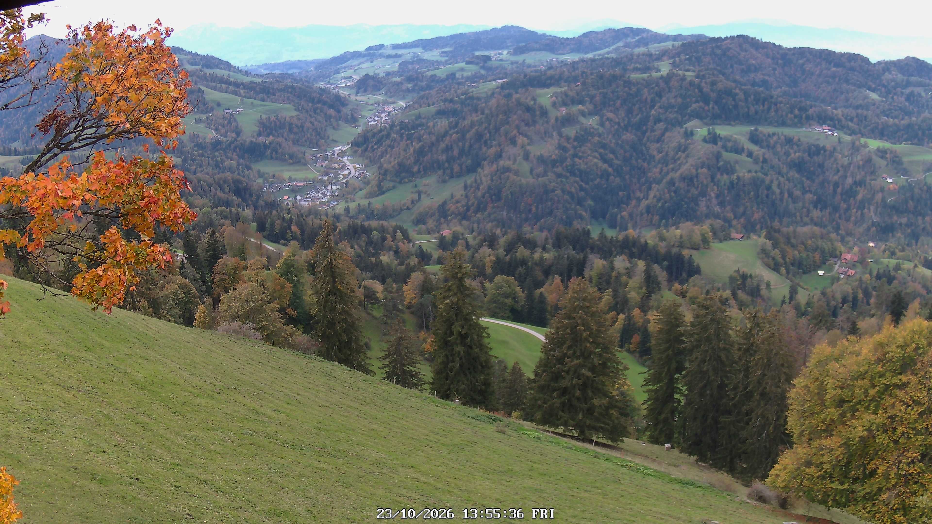 Fischenthal: Hörnli